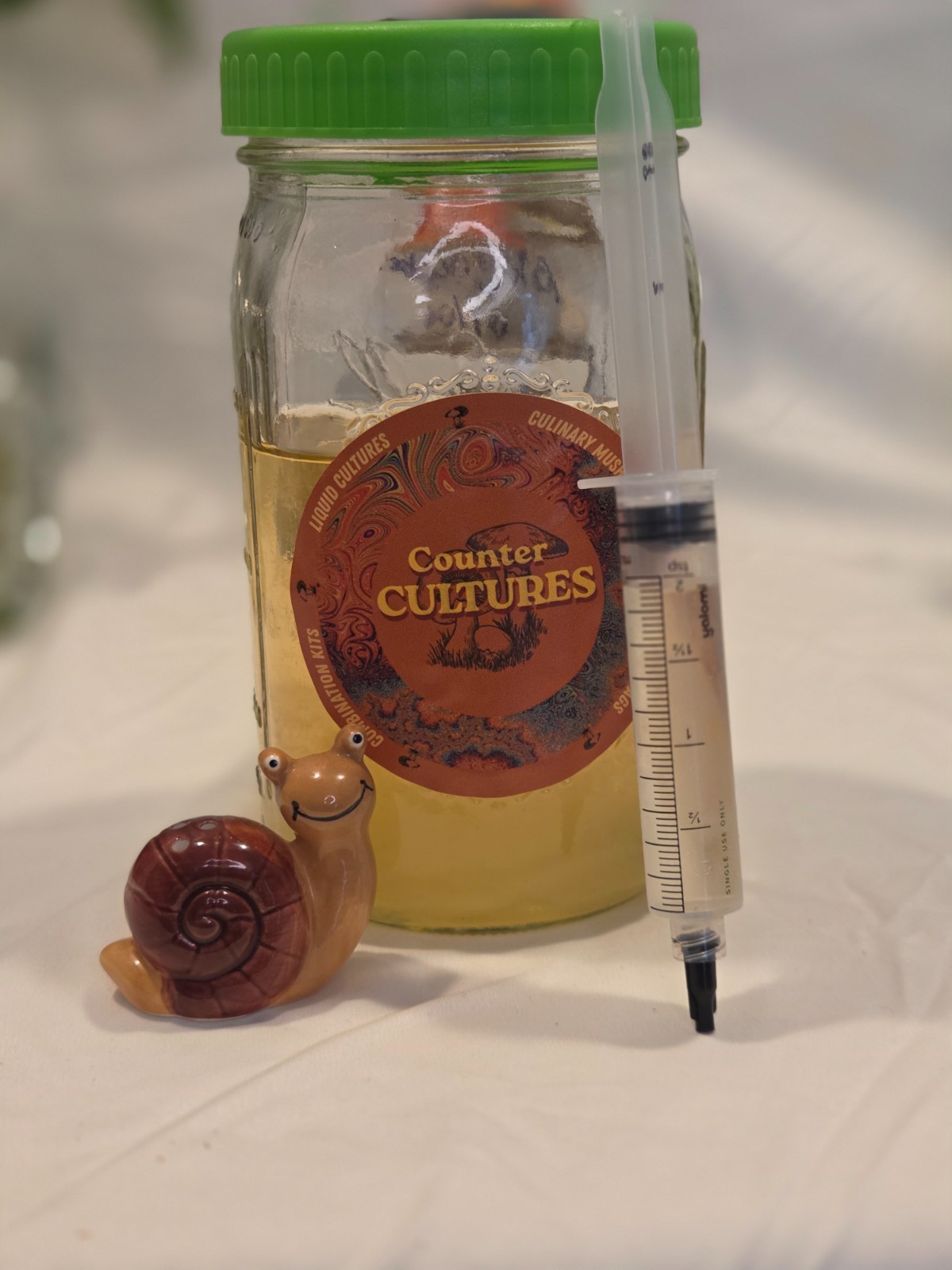 10Ml+ Gourmet Liquid Culture ( Multiple varieties available)| Counter Cultures |