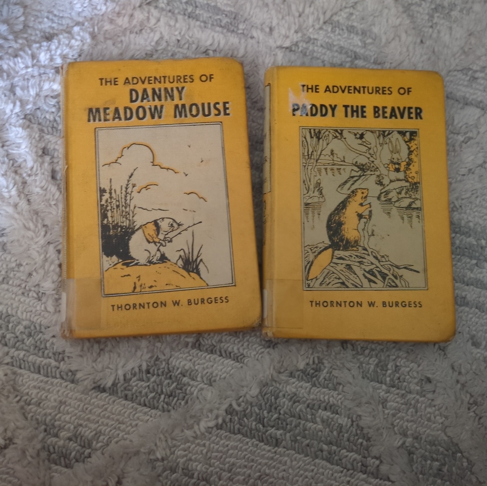 Vintage Thornton W. Burgess Childrens Books HC Danny Meadow Mouse & Paddy Beaver Vintage Thornton W. Burgess Childrens Books HC Danny Meadow Mouse & Paddy Beaver