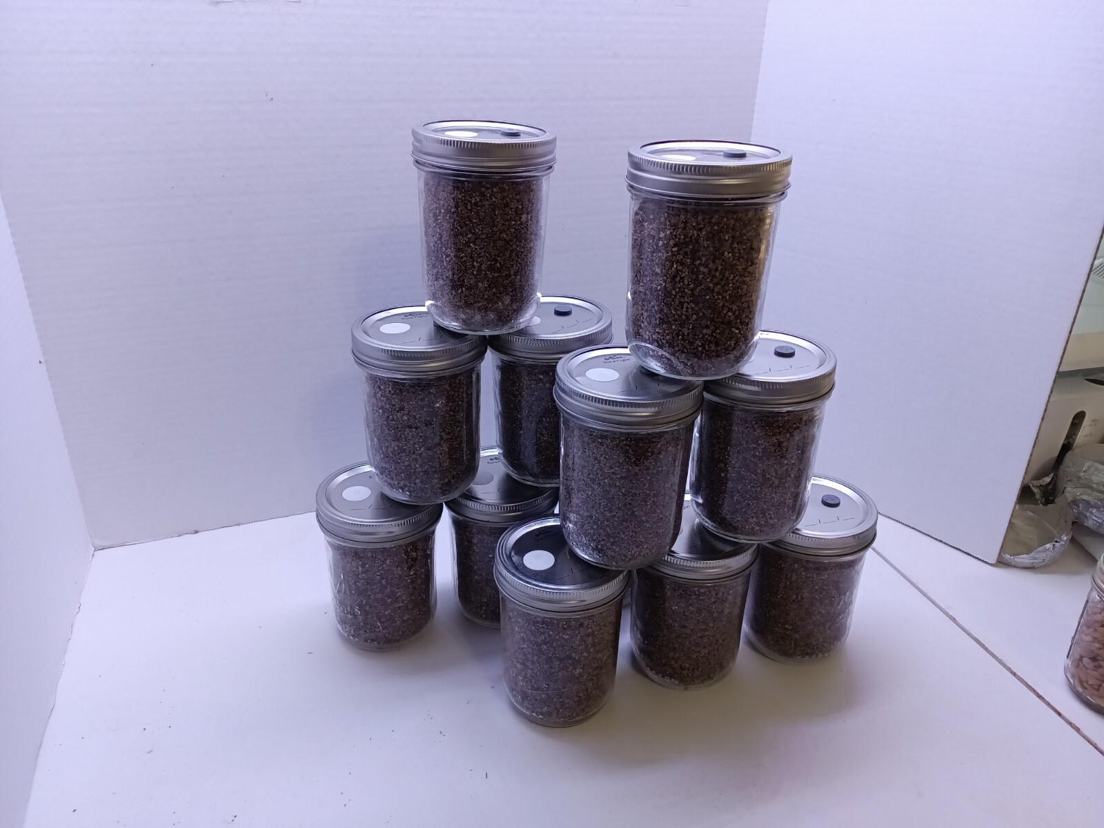 LARGE 16 ounce Pint PF Tek Mushroom Jars BRF Pint sterilized EASY  FAST SHIP