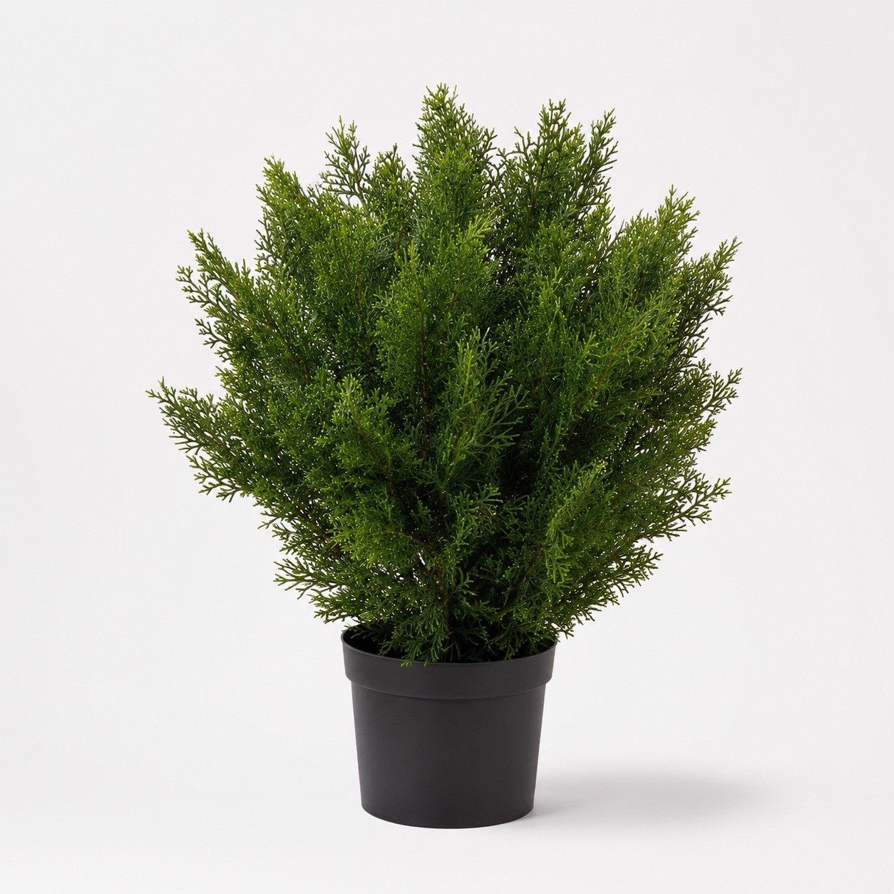 2’ Cedar Topiary Artificial Tree UV (Indoor/Outdoor) Home Decor. Retail $96