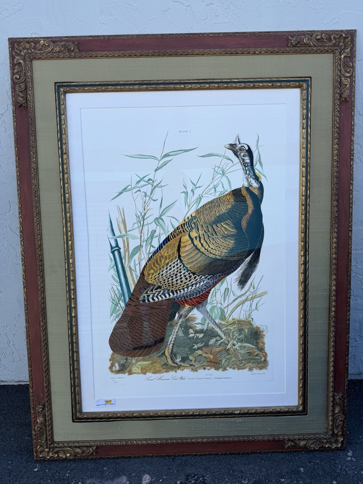 John James Audubon -Male Wild Turkey -officially 176/300 Size Frame43X55 John James Audubon -Male Wild Turkey -officially 176/300 Size Frame43X55