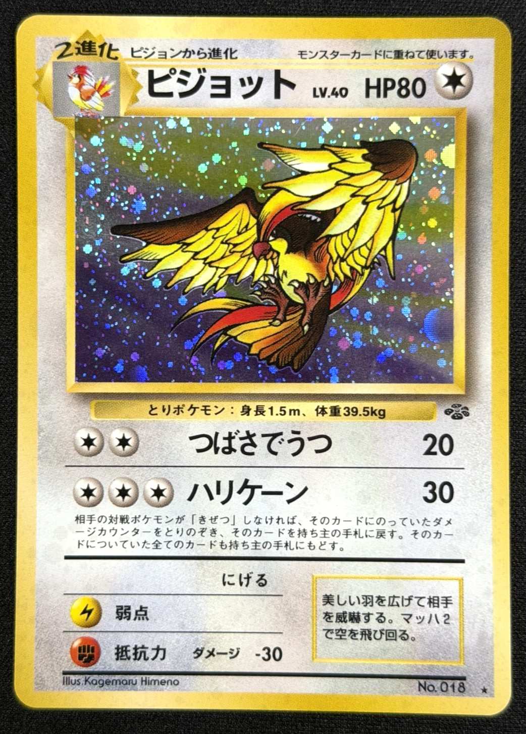 1997 Pokémon TCG • Pidgeot No.018 • Jungle Holo • Japanese C
