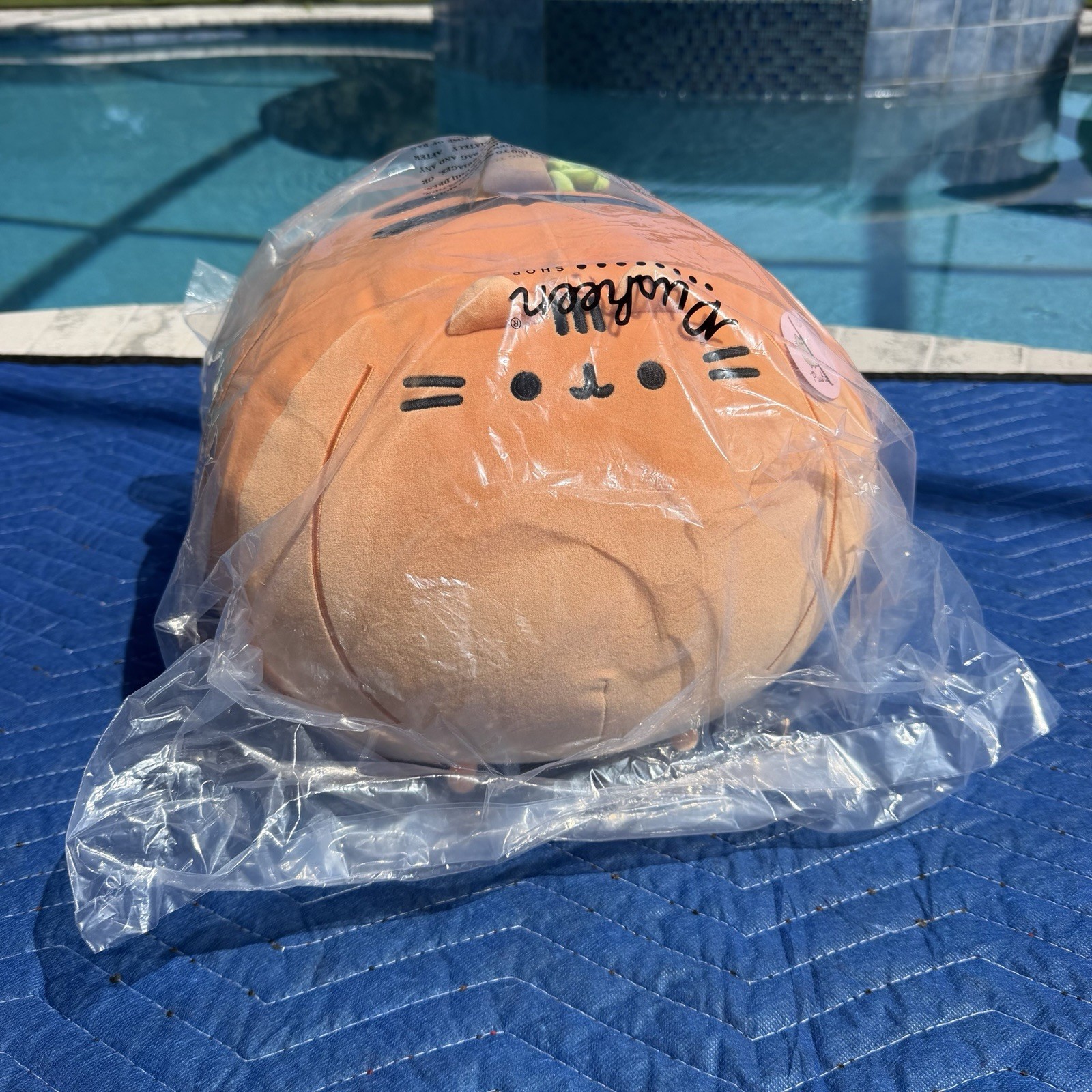 Pusheen Cat Pumpkin Jack-O-Lantern Plush Orange Mochi Big 2026 Squisheen
