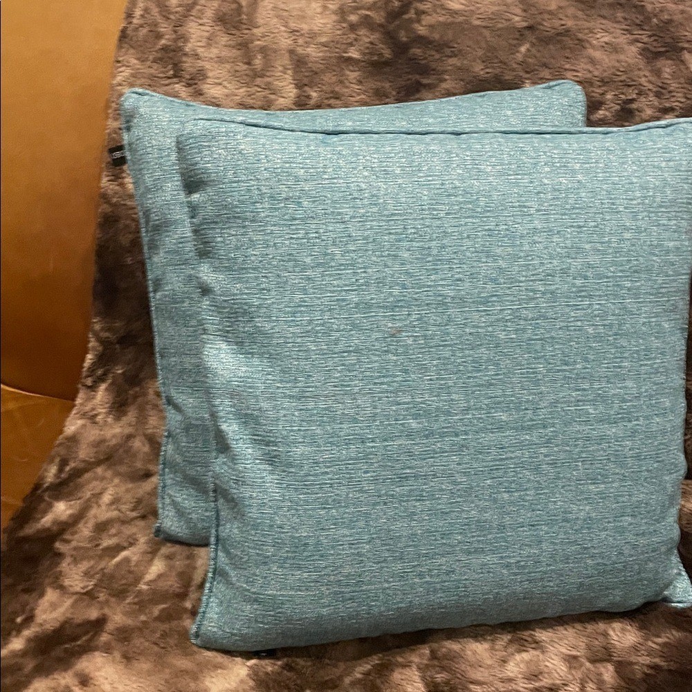 MCM pillows x2 MCM pillows x2