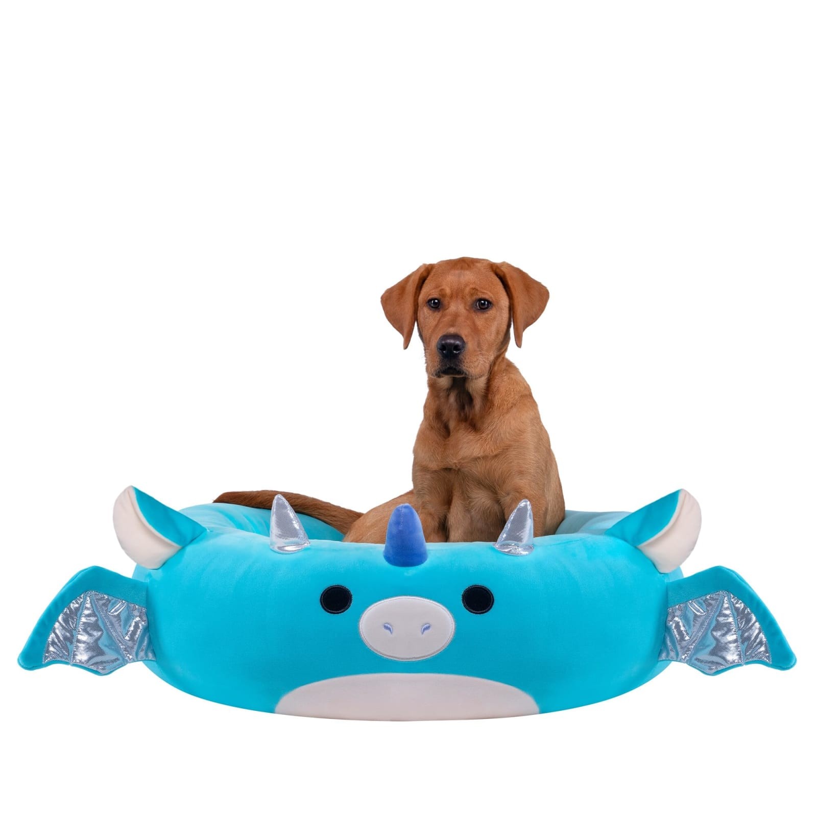 Squishmallows Tatiana Dragon 30 Inch Pet Bed Blue Bolster Non-Skid Dogs Cats Squishmallows Tatiana Dragon 30 Inch Pet Bed Blue Bolster Non-Skid Dogs Cats