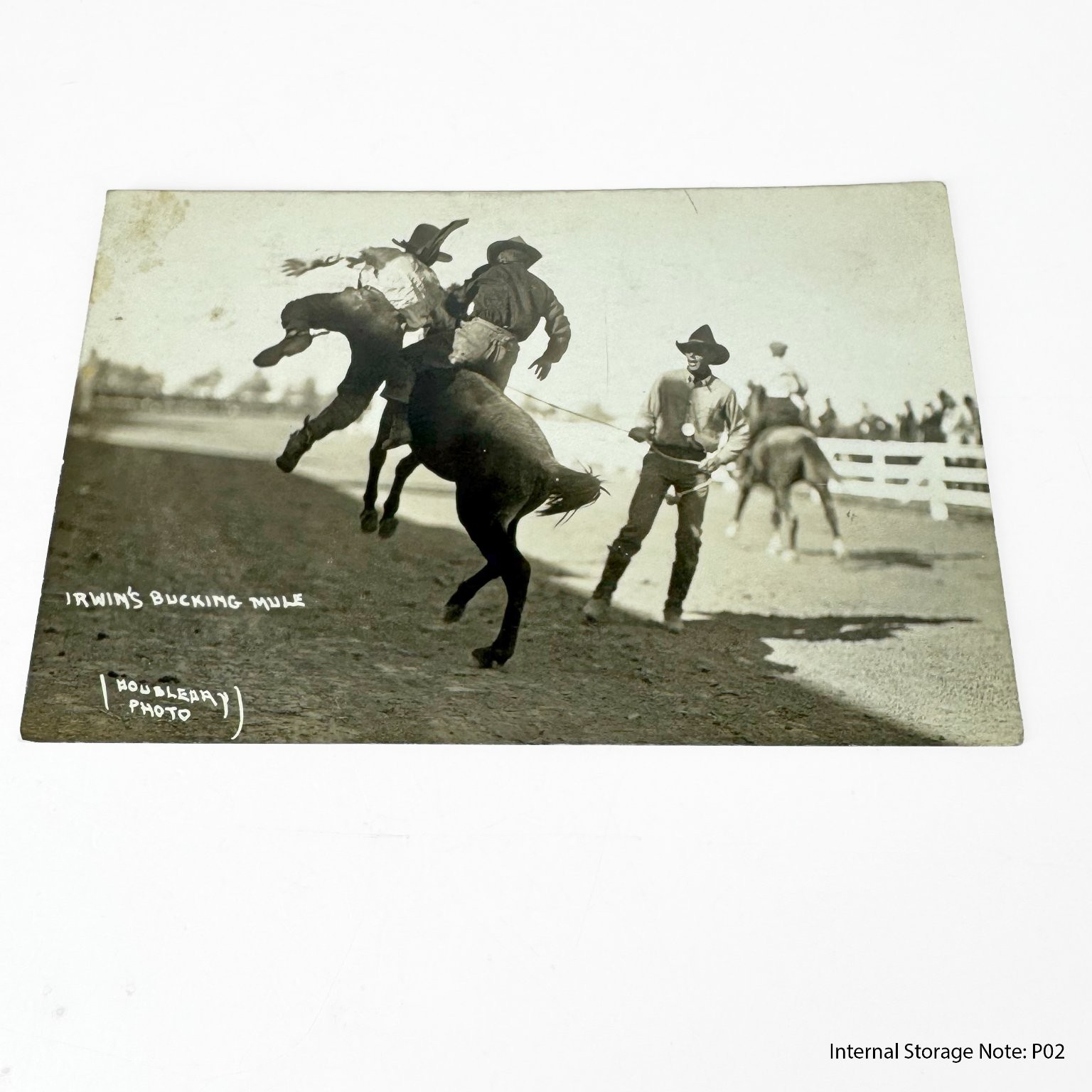 Vintage IRWIN\'S BUCKING MULE Rodeo Cowboy Houbleary Photo Postcard Unposted