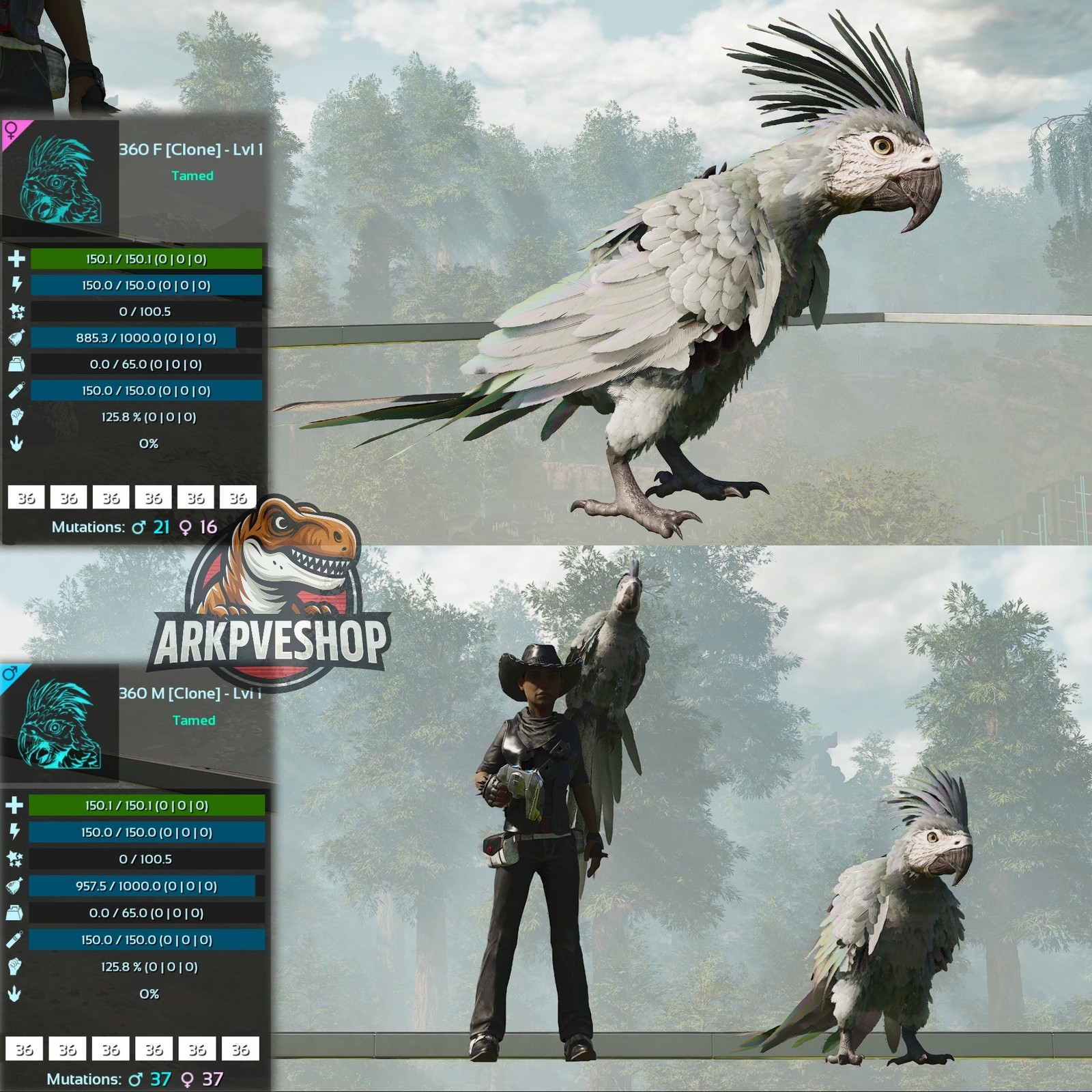 Parrot Lvl 1 Clone ASA PVE 🦖ARK Survival Ascended