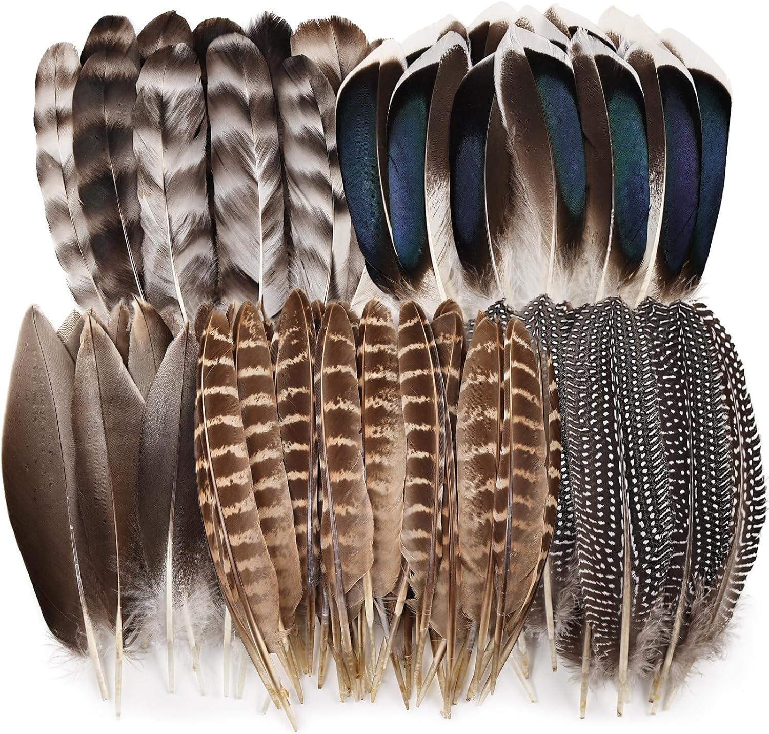 40 Pcs Natural Pheasant Feathers Bulk Spotted Feathers 5 Styles Mixed Feathers 40 Pcs Natural Pheasant Feathers Bulk Spotted Feathers 5 Styles Mixed Feathers