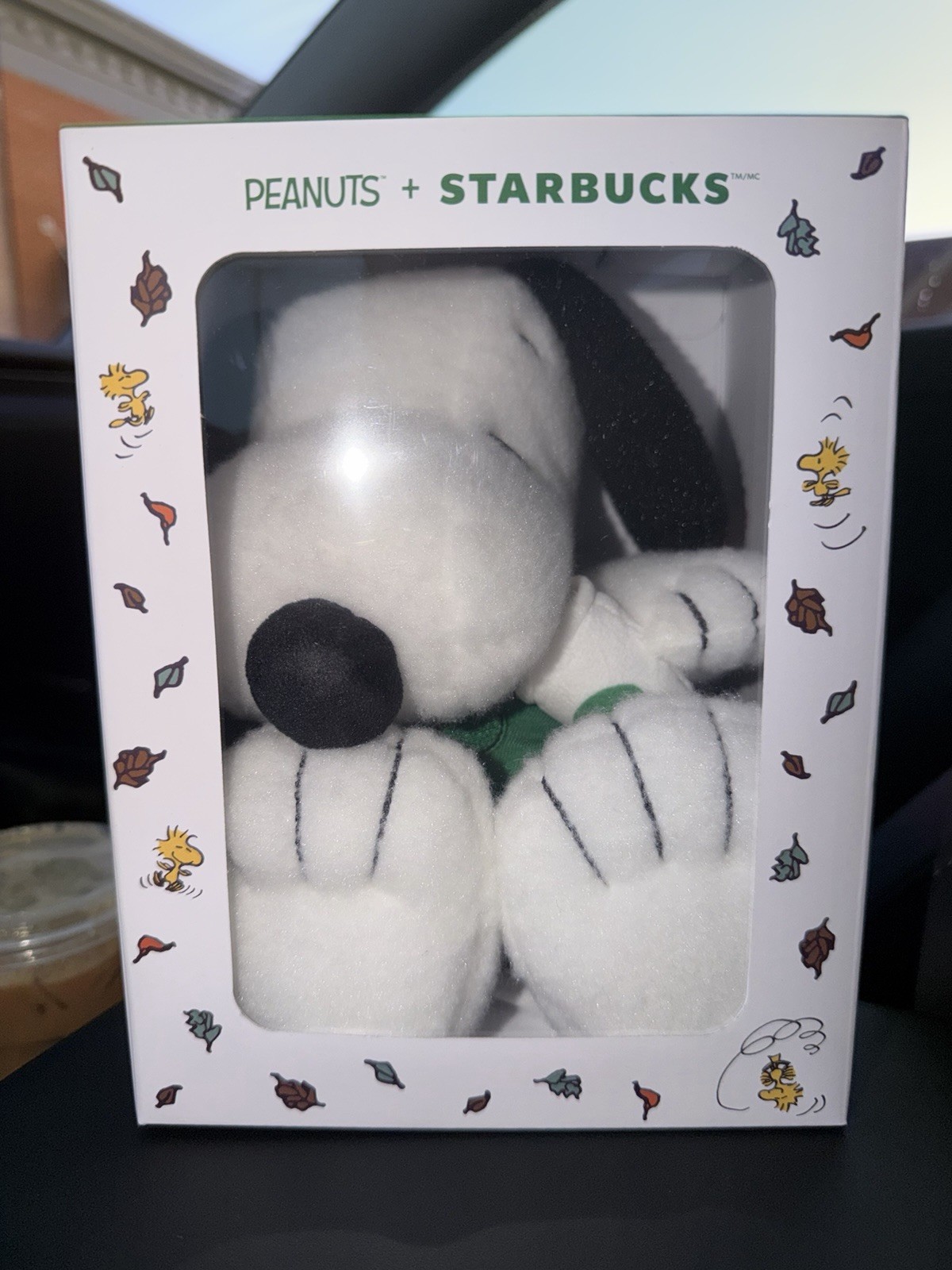 IN HAND NIB Starbucks Peanuts Snoopy Barista Plush w/ Green Apron 2026 Cute IN HAND NIB Starbucks Peanuts Snoopy Barista Plush w/ Green Apron 2026 Cute