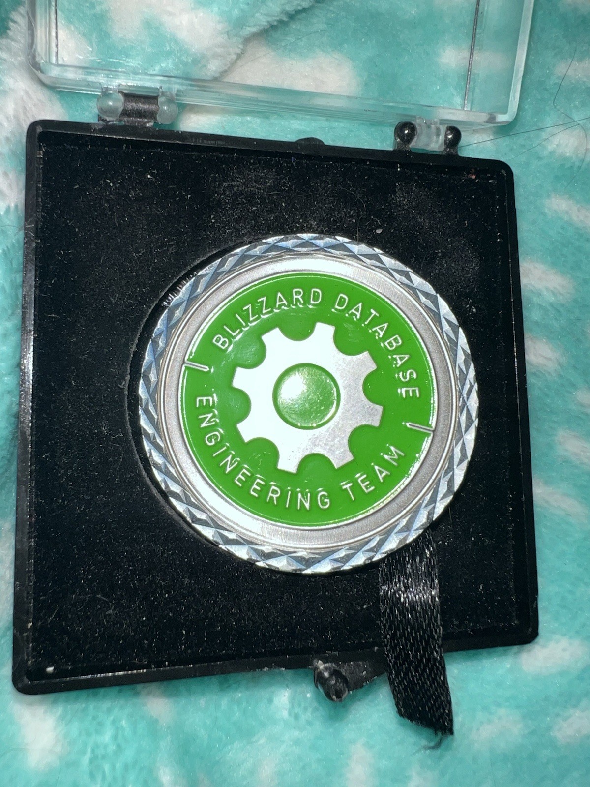 Rare Blizzard Entertainment Exclusive Employee Coin