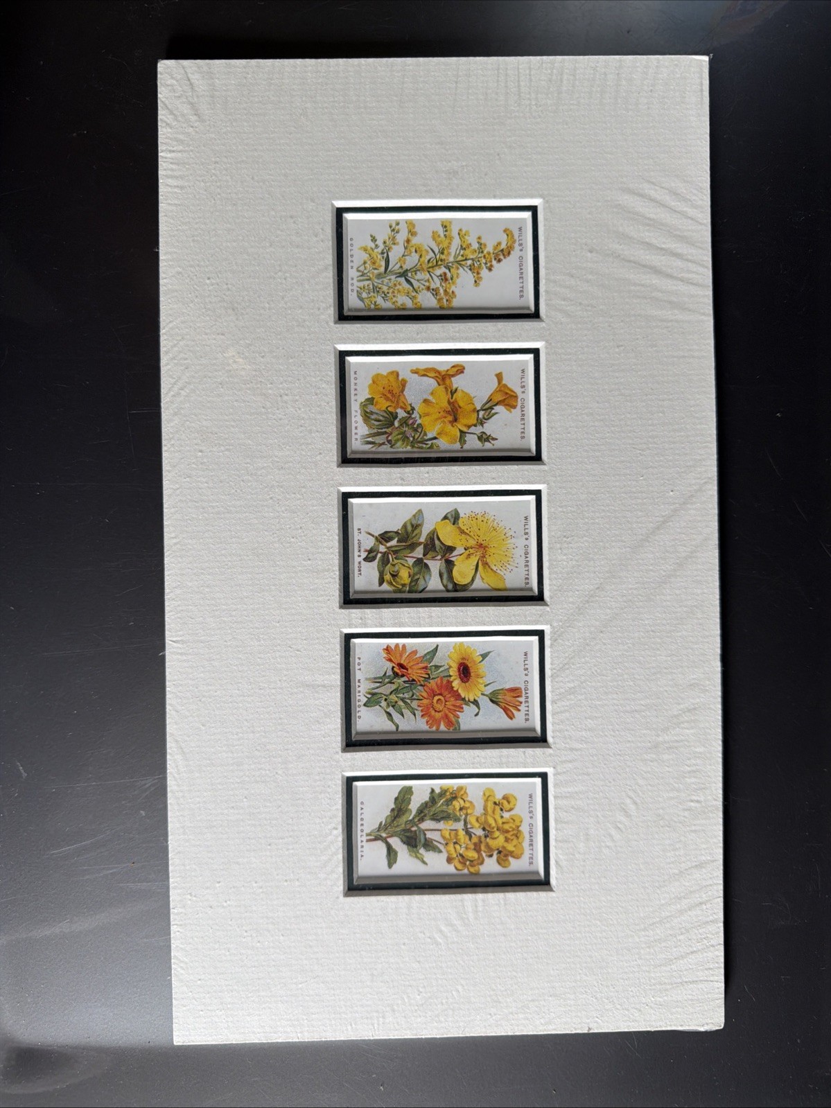 5 Beautifully Matted Antique Wills's Flower Cigarette Cards 14 5 Beautifully Matted Antique Wills's Flower Cigarette Cards 14