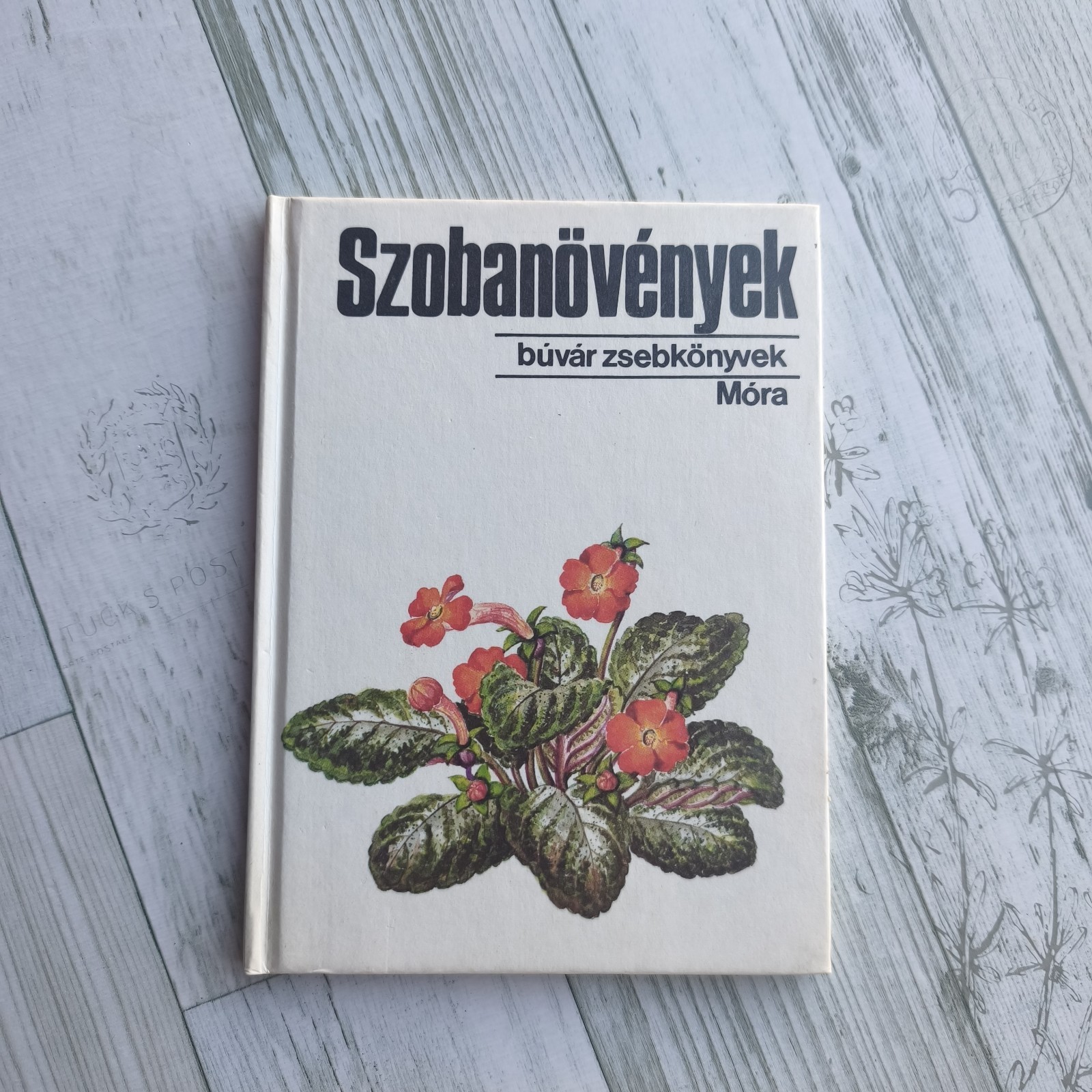 RARE Vintage 1988 Hungarian Book Szobanovenyek Houseplants Buvar Zsebkonyvek...