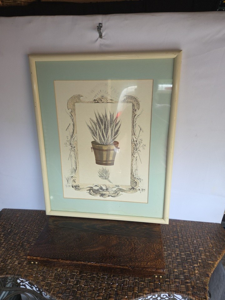 Rare Vintage Framed Art Cactus In A Bucket Matted *see Pics Rare Vintage Framed Art Cactus In A Bucket Matted *see Pics