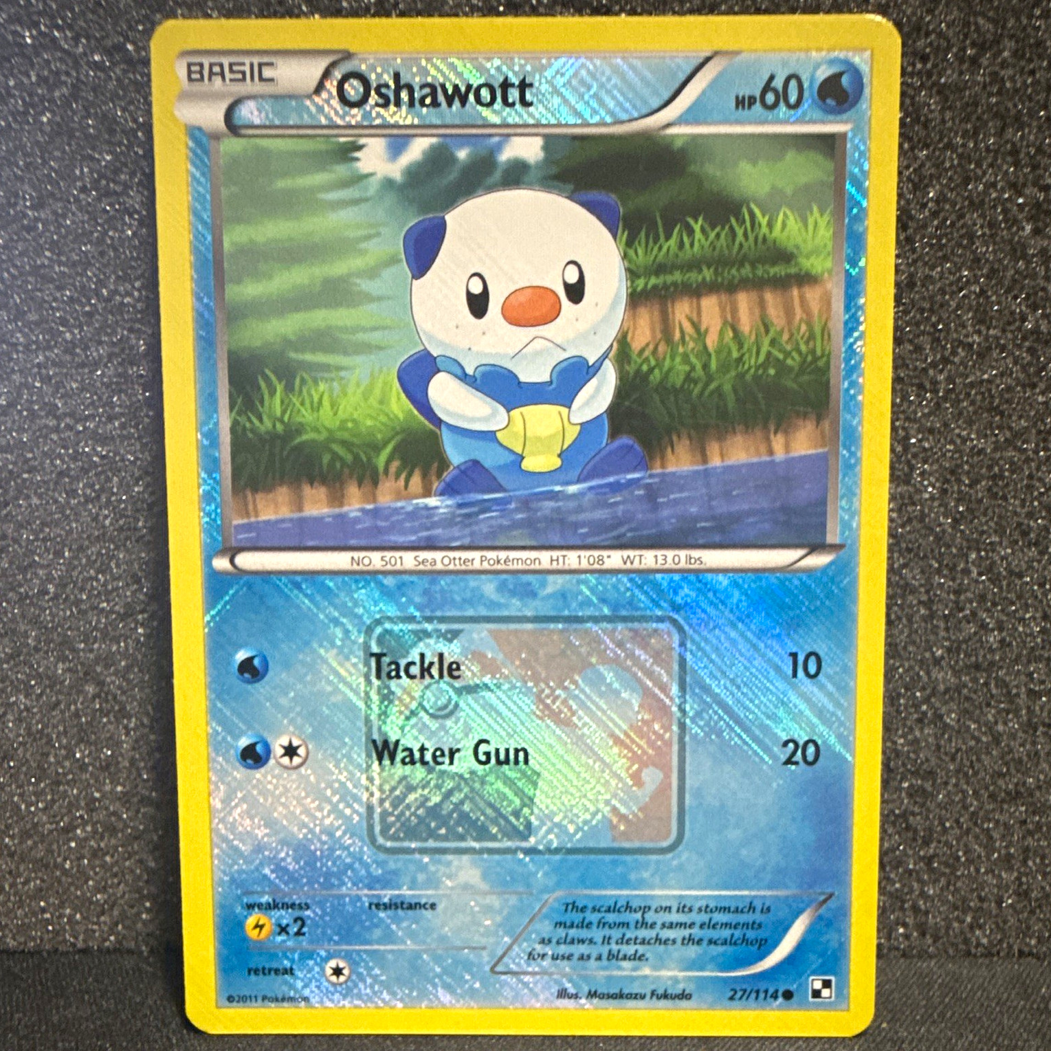 The Pokémon Company Oshawott 027/114 League Promo Reverse Holo Eng 2011 60 HP The Pokémon Company Oshawott 027/114 League Promo Reverse Holo Eng 2011 60 HP