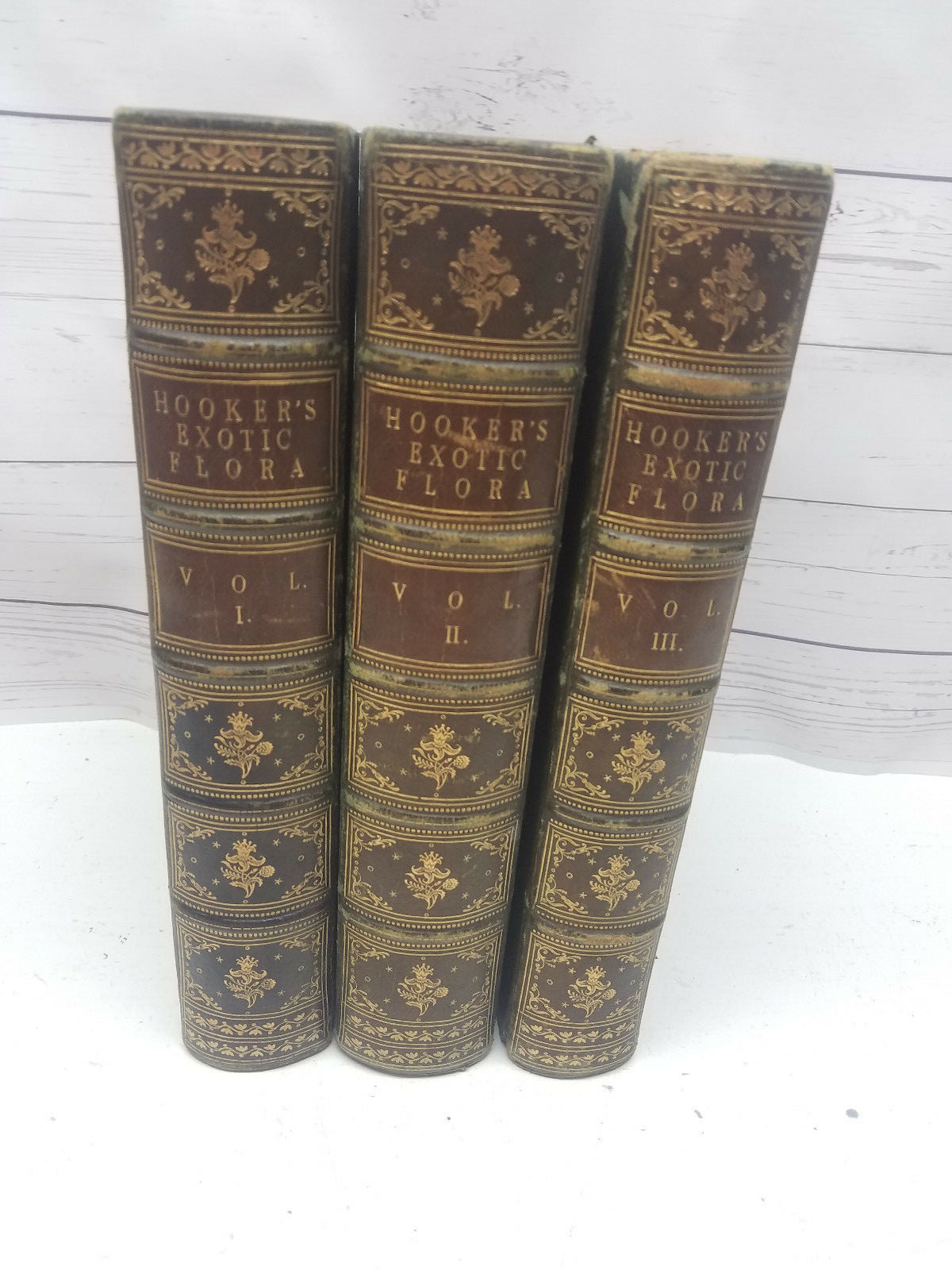 Hookers Exotic Flora 3 Volume Set First Edition Hand Colored Plates Hookers Exotic Flora 3 Volume Set First Edition Hand Colored Plates
