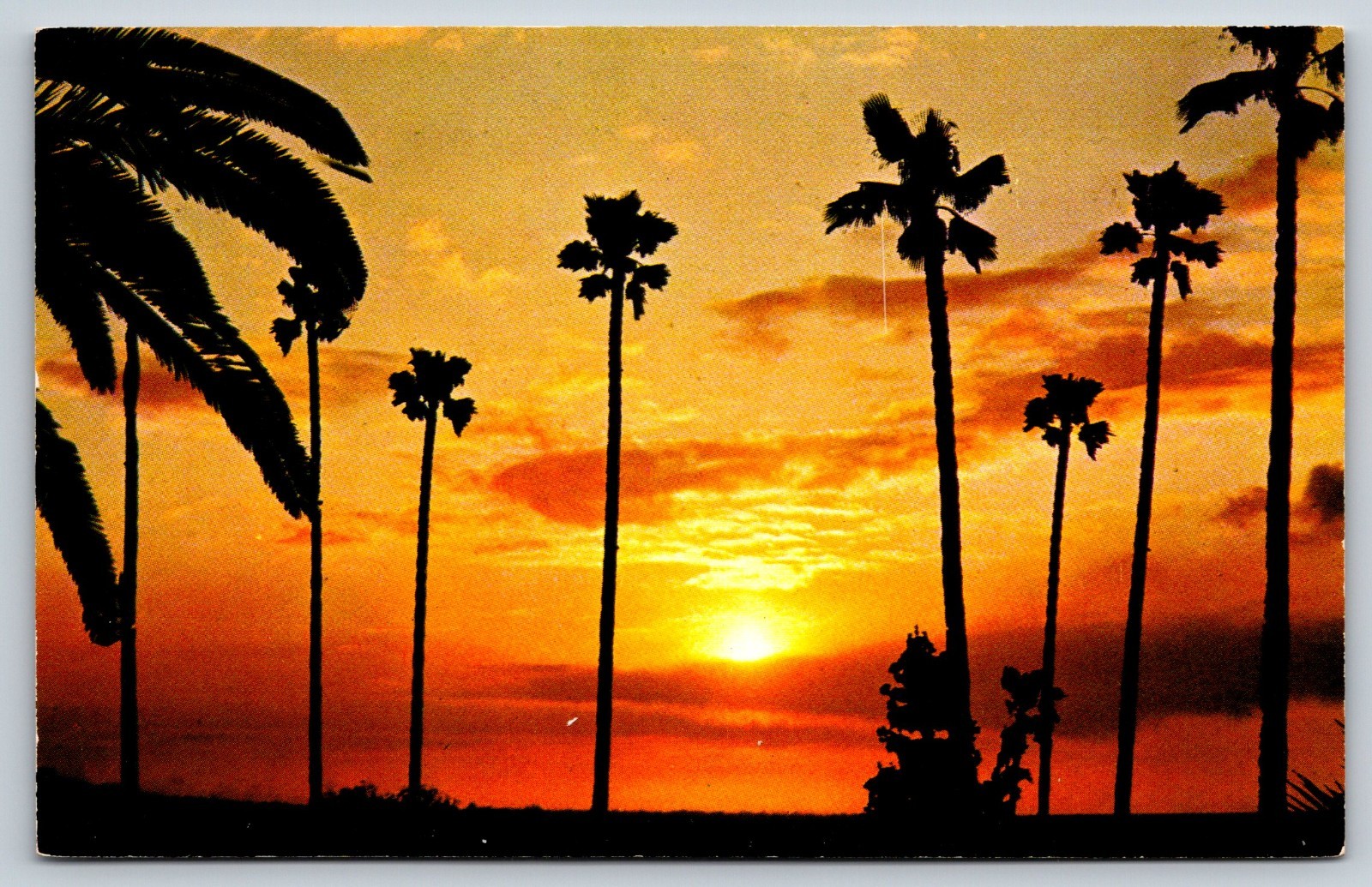 A California Sunset Vintage Postcard