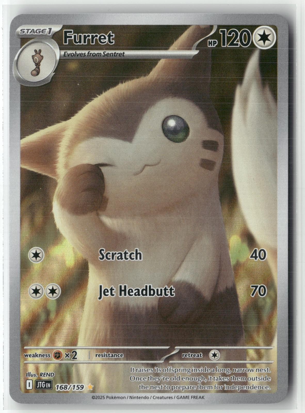 Furret 168/159 Illustration Rare Journey Together Pokemon Holo NM