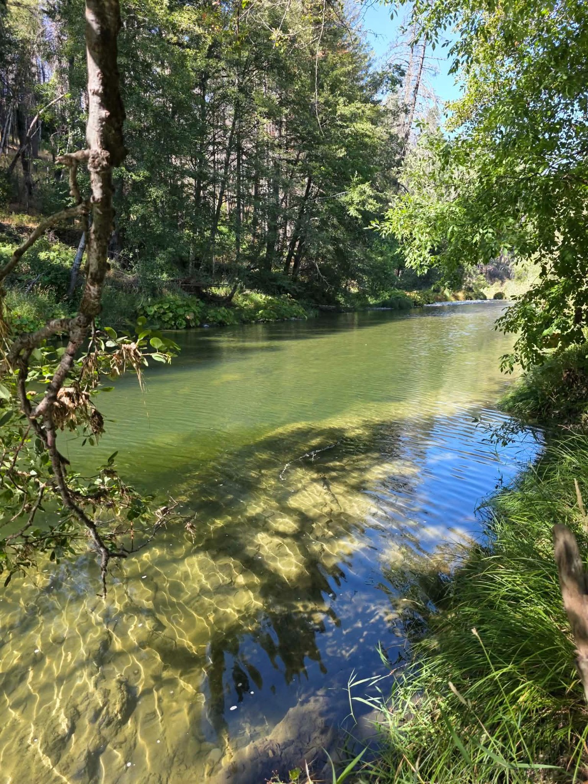 Gold Claim 18.5 Acres Camping mining Prospecting Creek hunting nuggets Trinity
