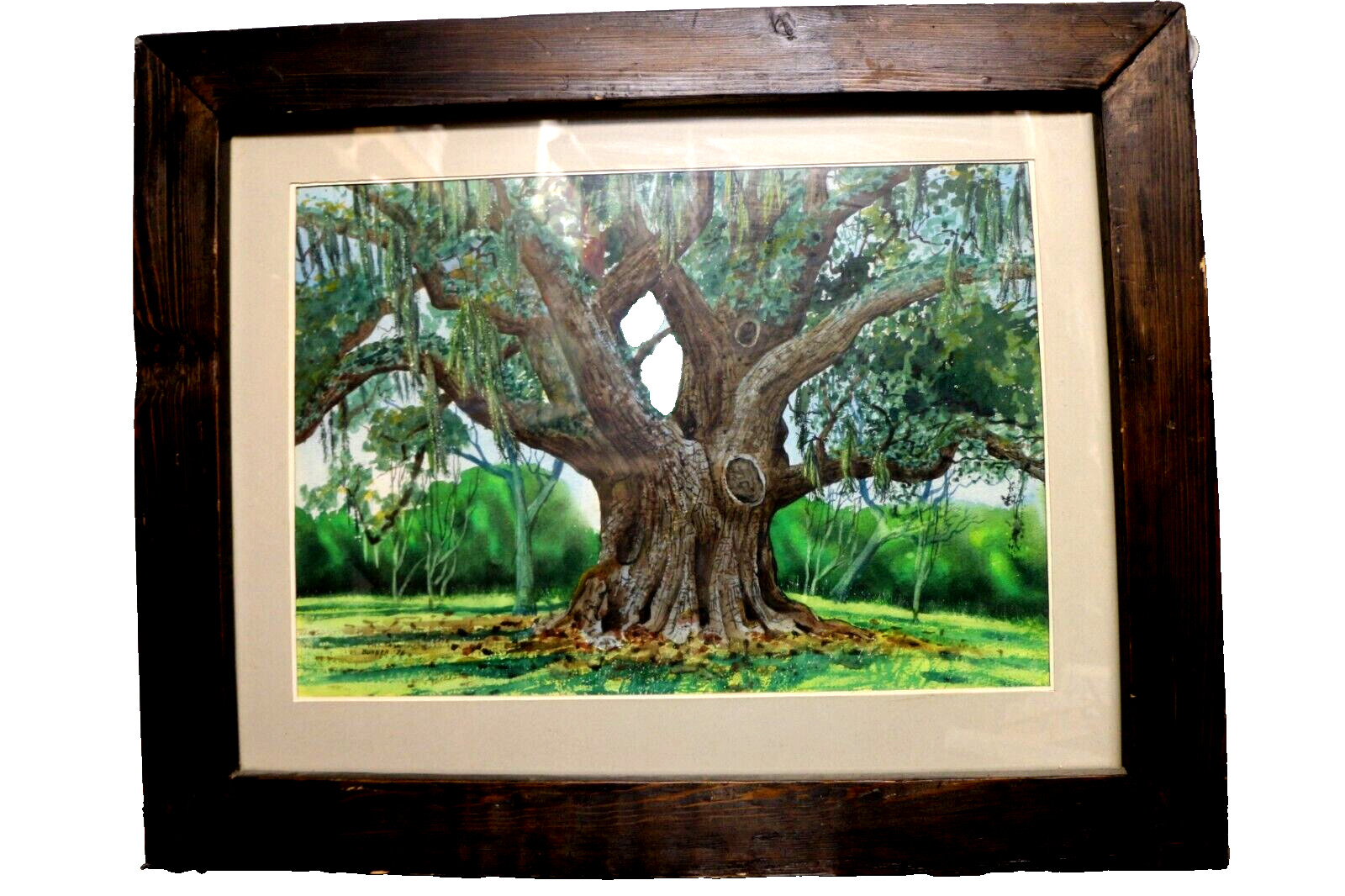 Dick Bunner Secretary Oak Biloxi Miss. Original Watercolor and Pen framed 30 x24 Dick Bunner Secretary Oak Biloxi Miss. Original Watercolor and Pen framed 30 x24