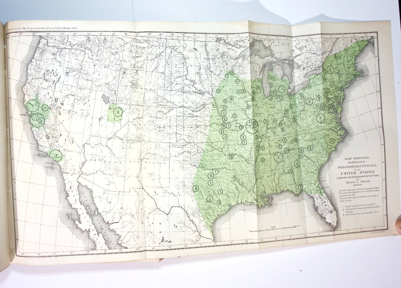 1887 Report Commissioner Agriculture 1886 Antique USDA Illustrated Maps Plates