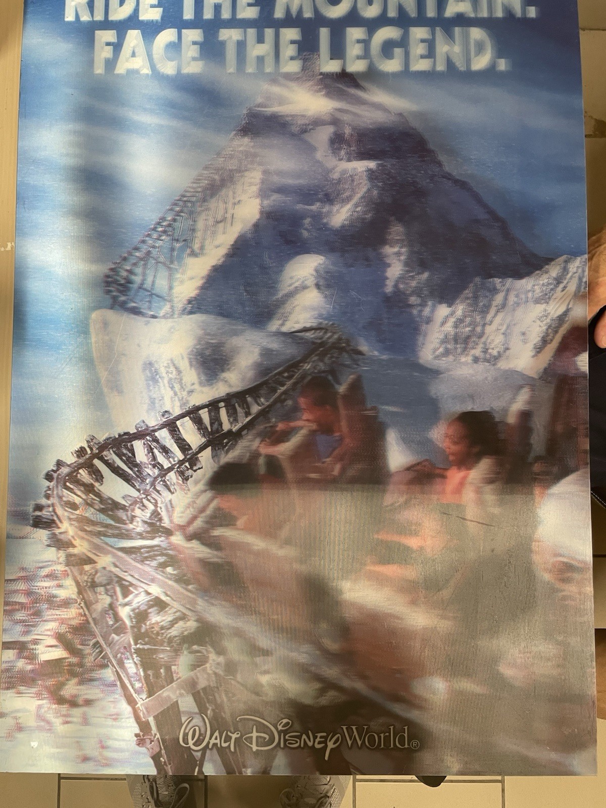 RARE vintage 3D Poster Disney Expedition Everest Roller Coaster Poster RARE vintage 3D Poster Disney Expedition Everest Roller Coaster Poster