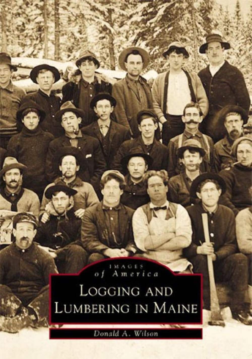 NEW Arcadia Publishing Logging and Lumbering in Maine, ME 9780738505213 Images o
