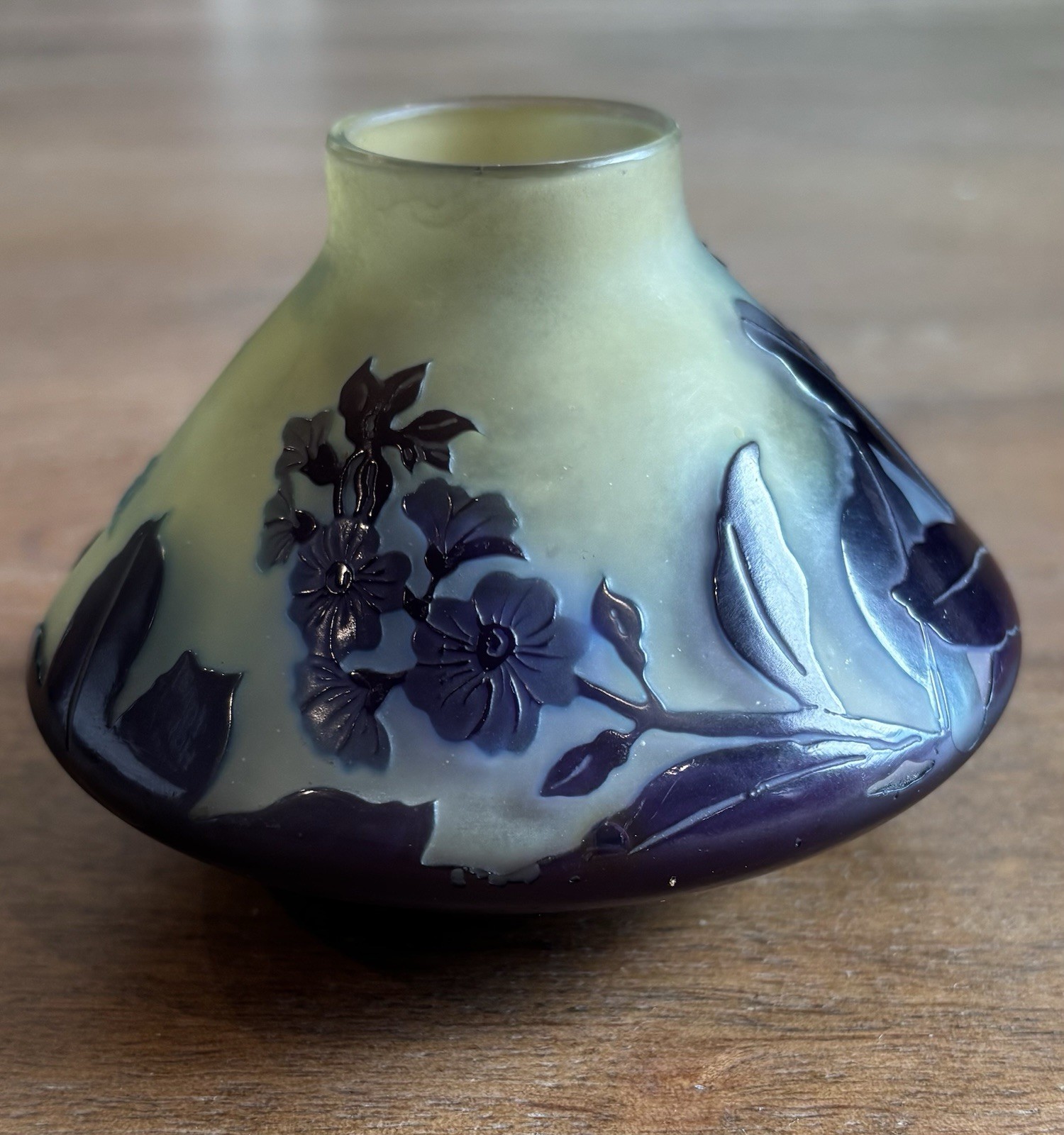 RARE Gorgeous multi-layered Emile Galle Vase