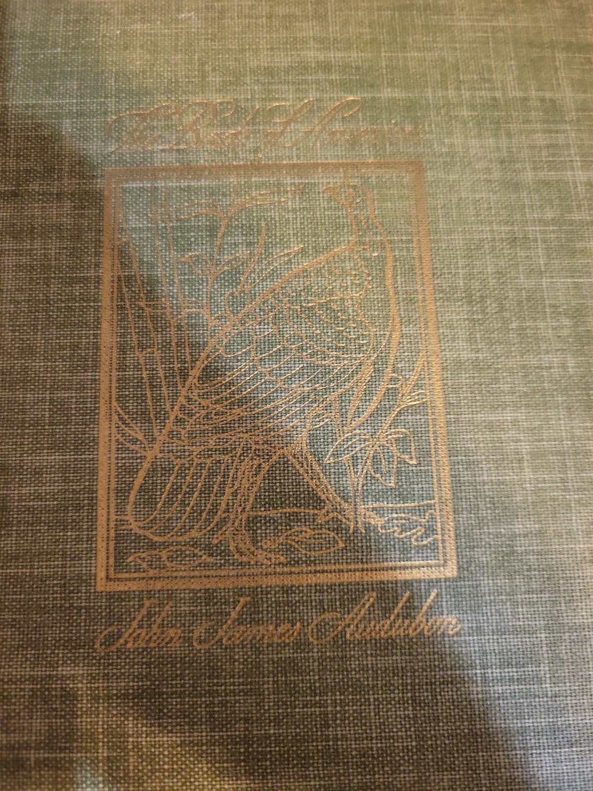 Antique 1937 Large Illustrated Book Birds of America Aviary History Decor Collec Antique 1937 Large Illustrated Book Birds of America Aviary History Decor Collec