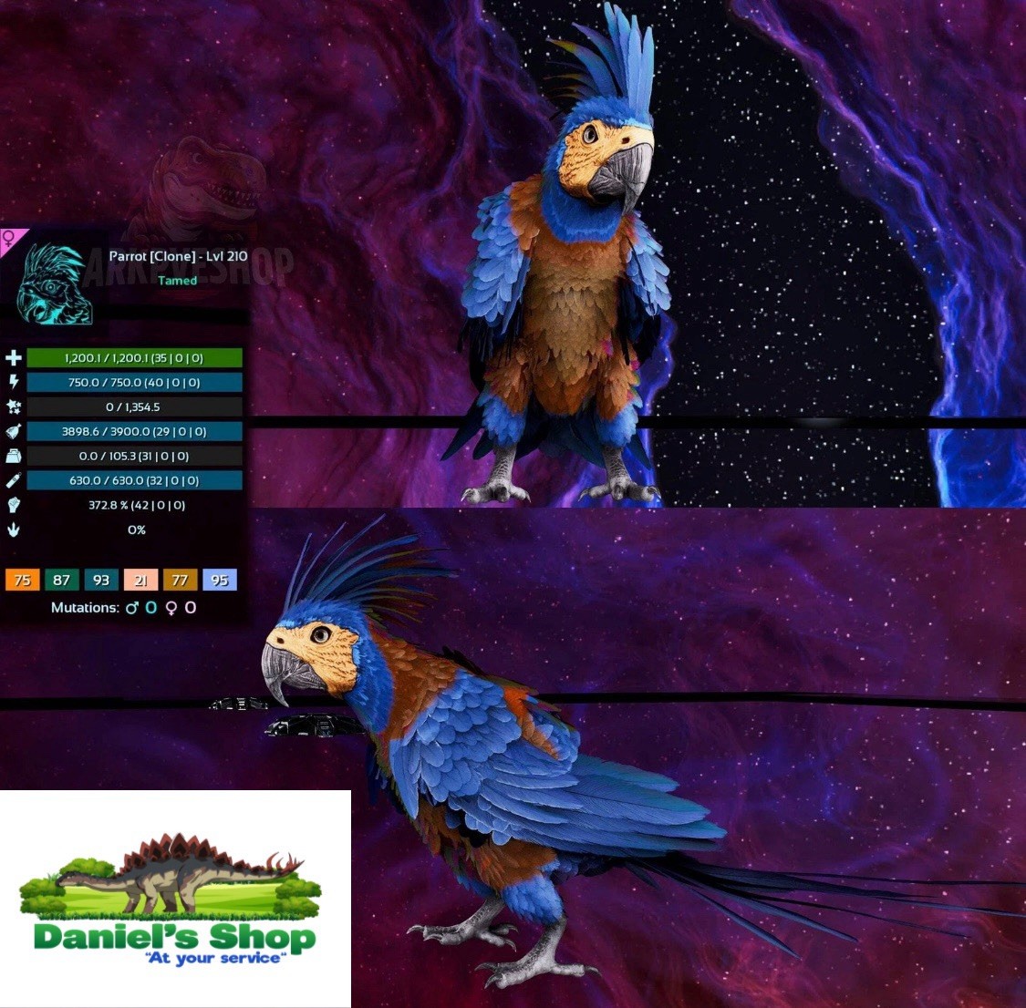 Ark Survival Ascended Pve Official PC/XBOX/PS5 New Parrot Clone Pair Ark Survival Ascended Pve Official PC/XBOX/PS5 New Parrot Clone Pair