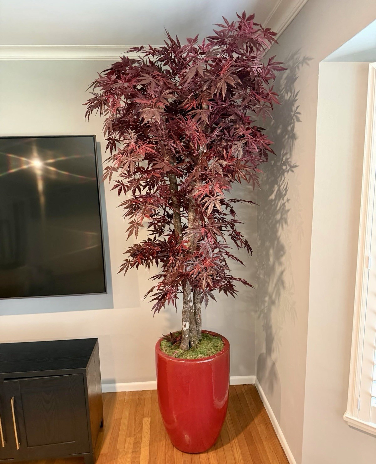 Artificial Japanese Maple Tree Houseplant in Red Planter Pot, Red & Green Artificial Japanese Maple Tree Houseplant in Red Planter Pot, Red & Green