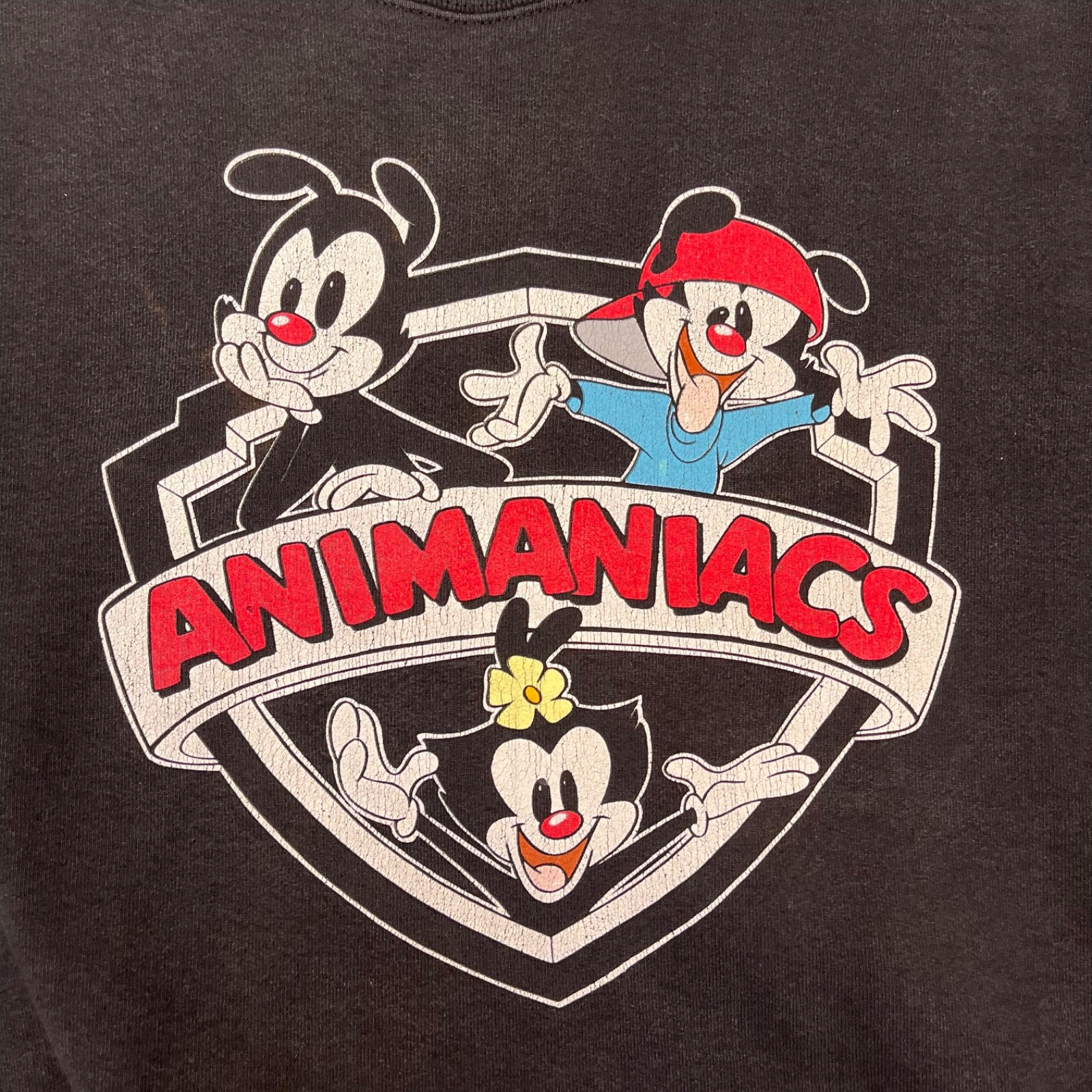 Vintage 90s Animaniacs Crewneck Sweatshirt Medium Warner Bros 1993 USA