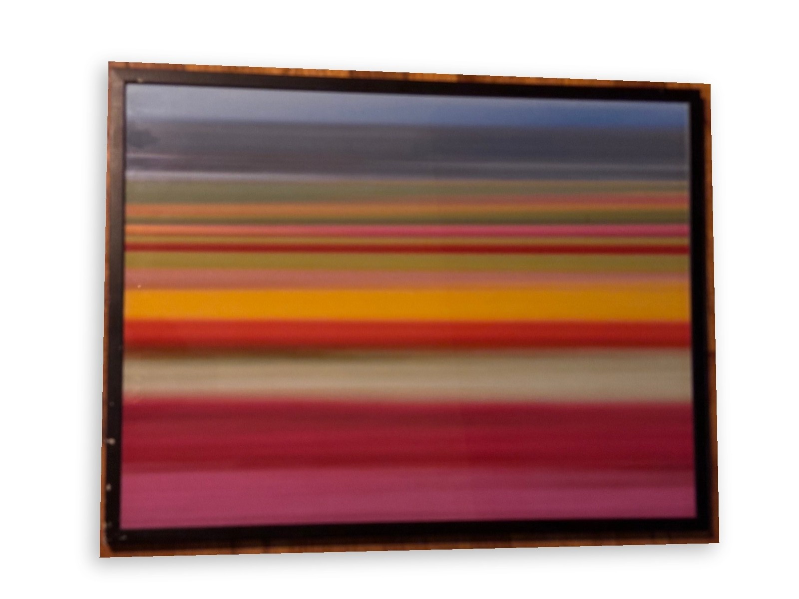 Framed Abstract Motion Blur Tulip Field Photograph Rainbow Stripes Wall Art 18x2