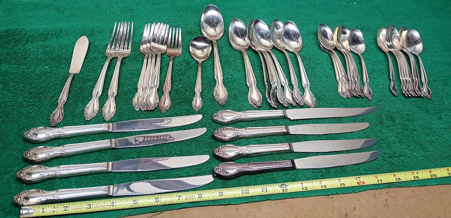 42pcs Vintage Wm Rogers Lady Densmore Silverplate Flatware IS Reinforced plate