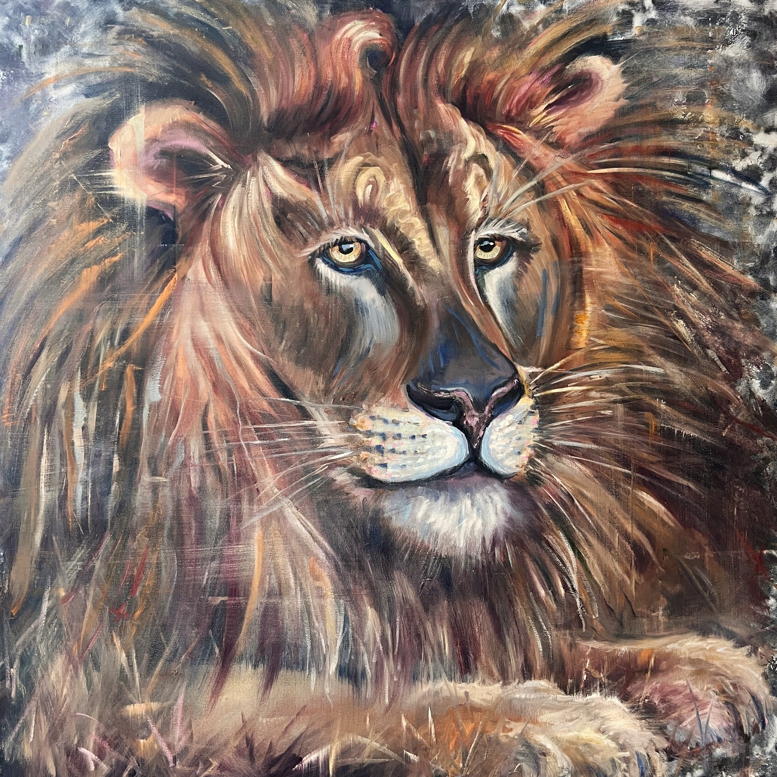 Sophie Dare Original Art 36x36  Oil on Canvas Lion King of the Jungle