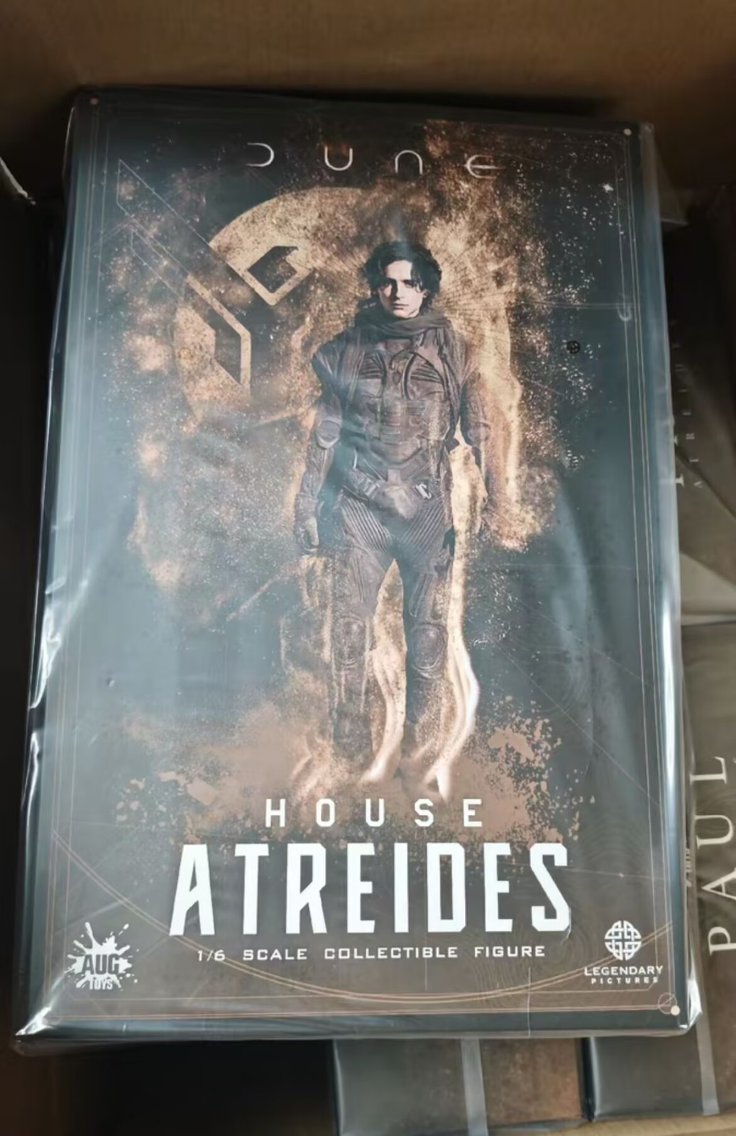 AUG TOYS DL003 1/6 Paul Atreides Chalamet 12\