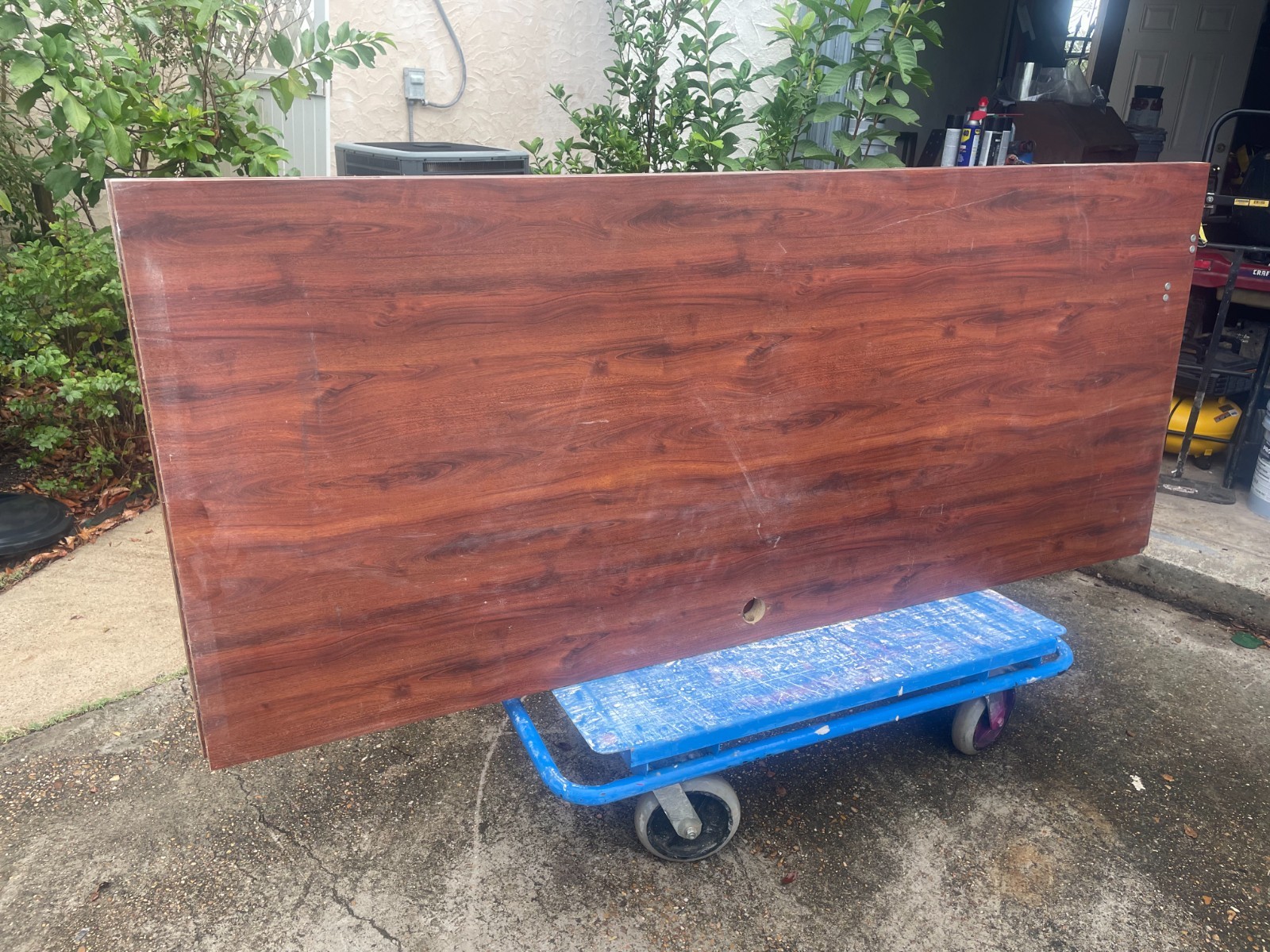 INTERIOR SOLID WOOD DOOR