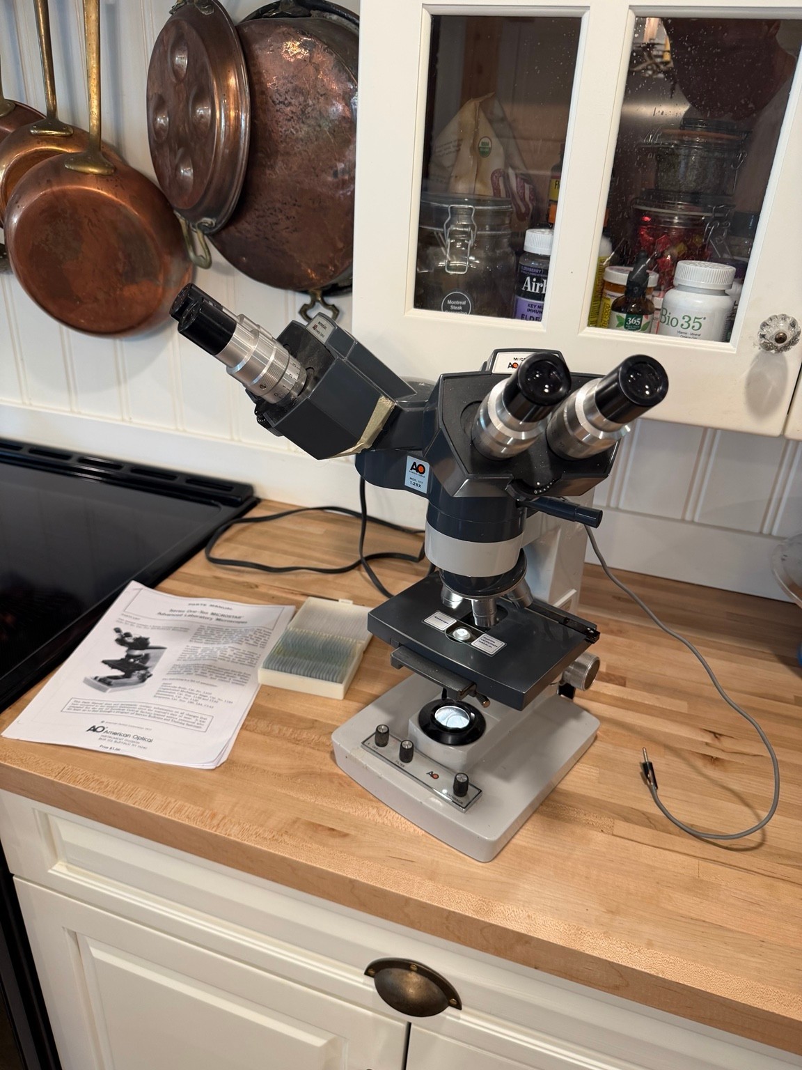 AO American Optical One-Ten MicroStar Dual Head Teaching Microscope 1130