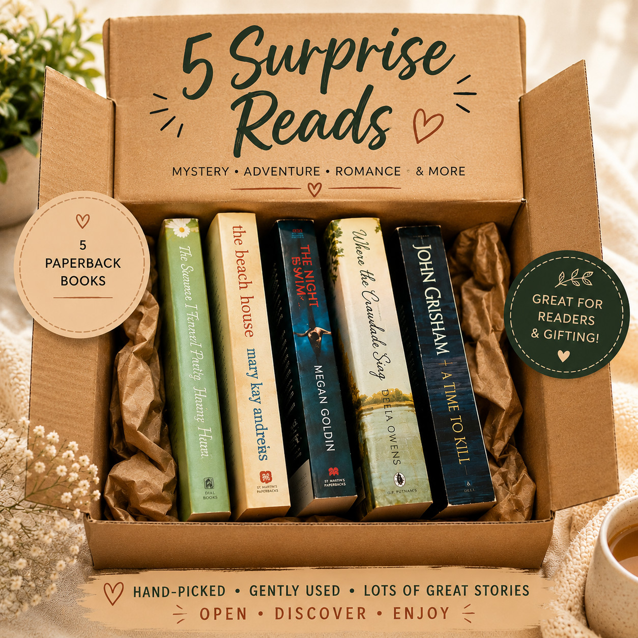 5 Surprise Paperback Books Mystery Box