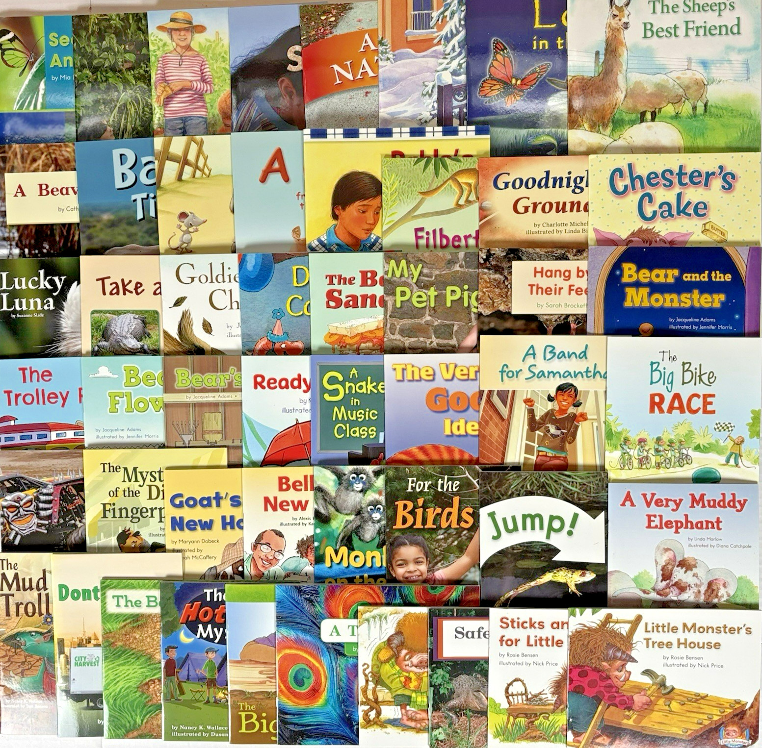 1st Grade Readers Levels E-M Fountas & Pinnell Homeschool Library - 50 Books