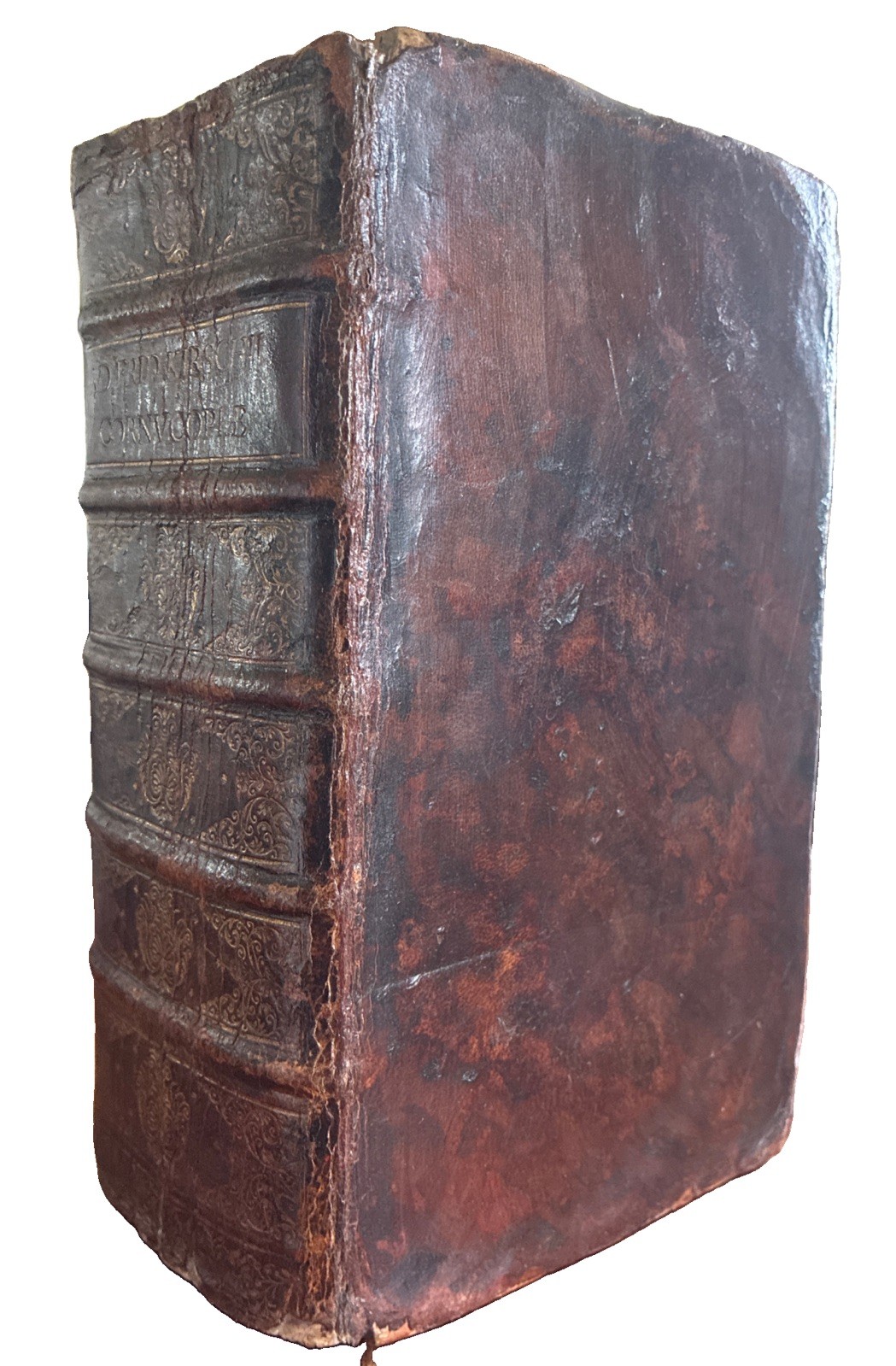 1750 Adam Friedrich Kirsch Cornucopiae Linguae Latinae et Germanicae Dictionary