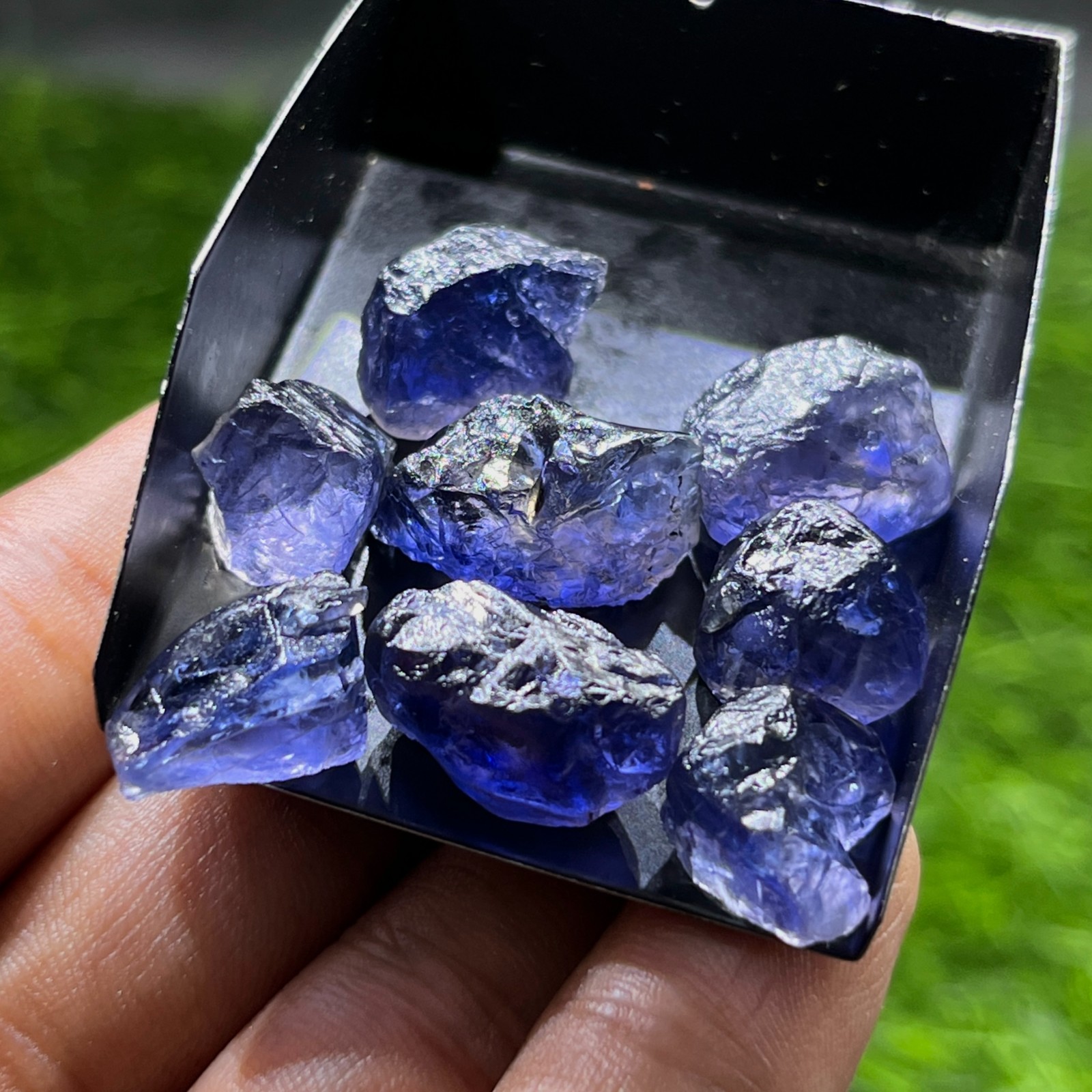 Natural Iolite Rough Lot, 75 Ct, 8 Pcs, 14–18mm Blue Violet Raw Iolite Crystals