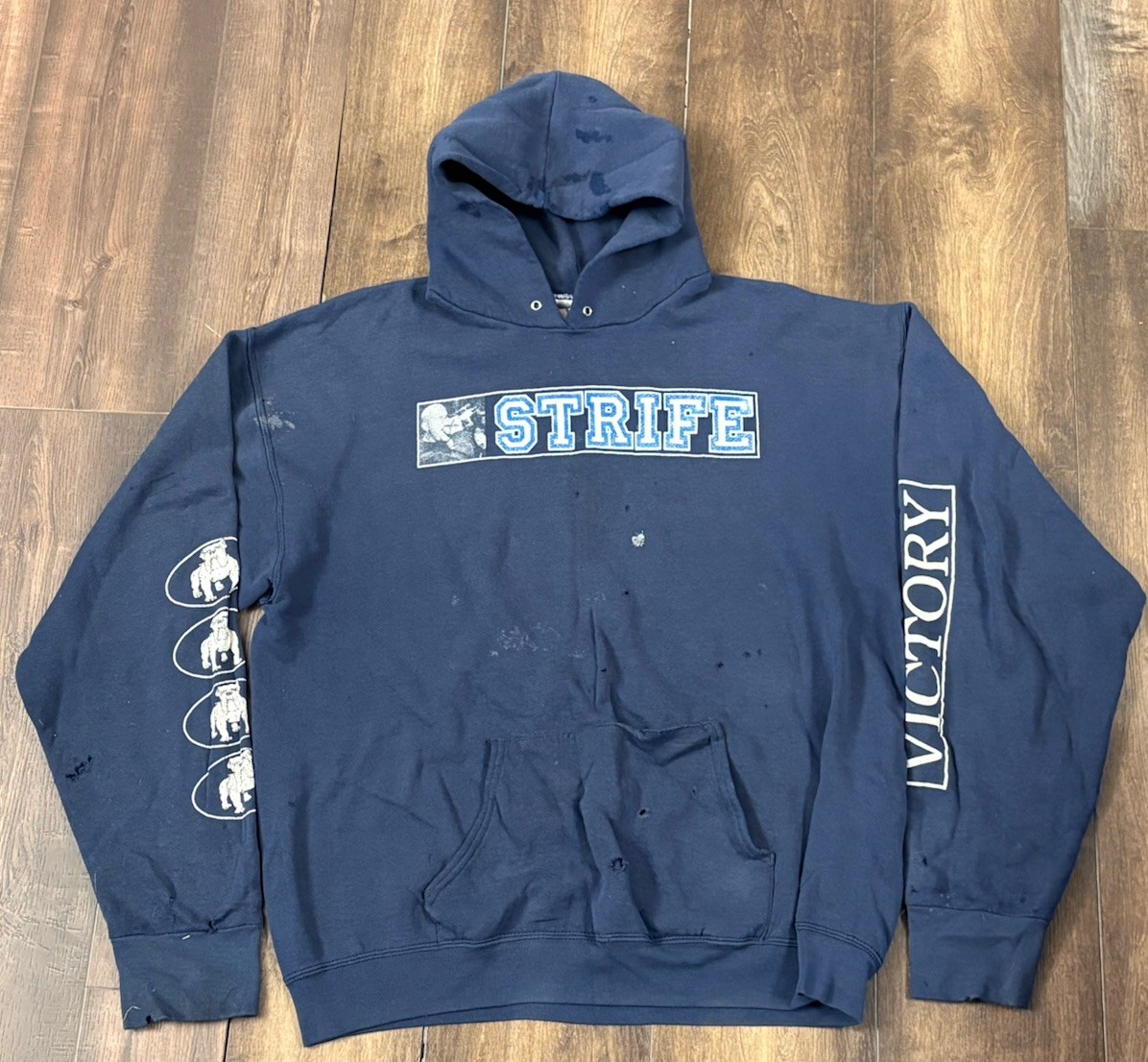 Vtg 90s Strife Hardcore Punk Band Hoodie Men’s XXL Victory Records Destiny Grail