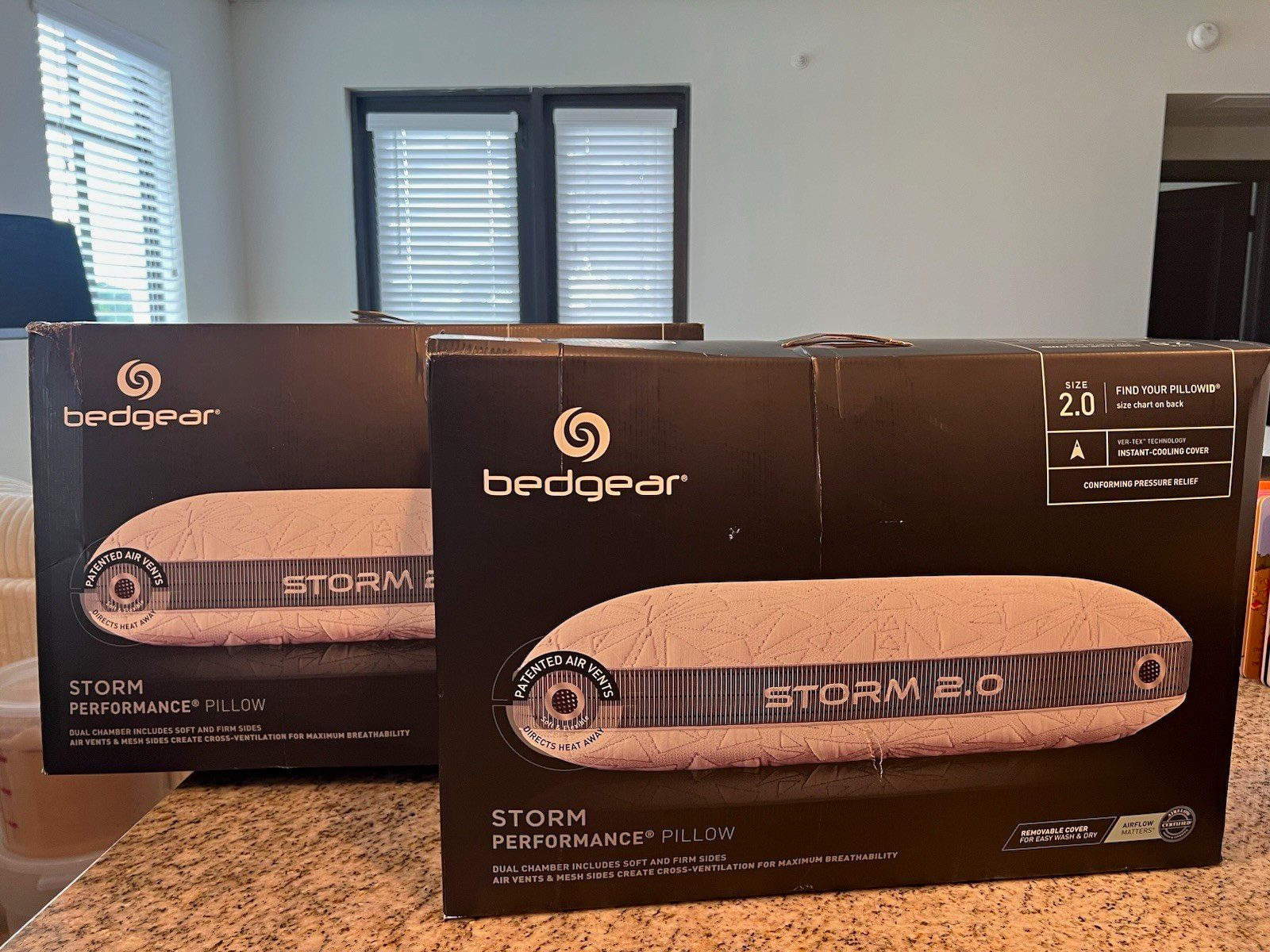 Bedgear Storm 2.0 Performance Bed Pillow 20 x 26 in Cooling Removable Cover