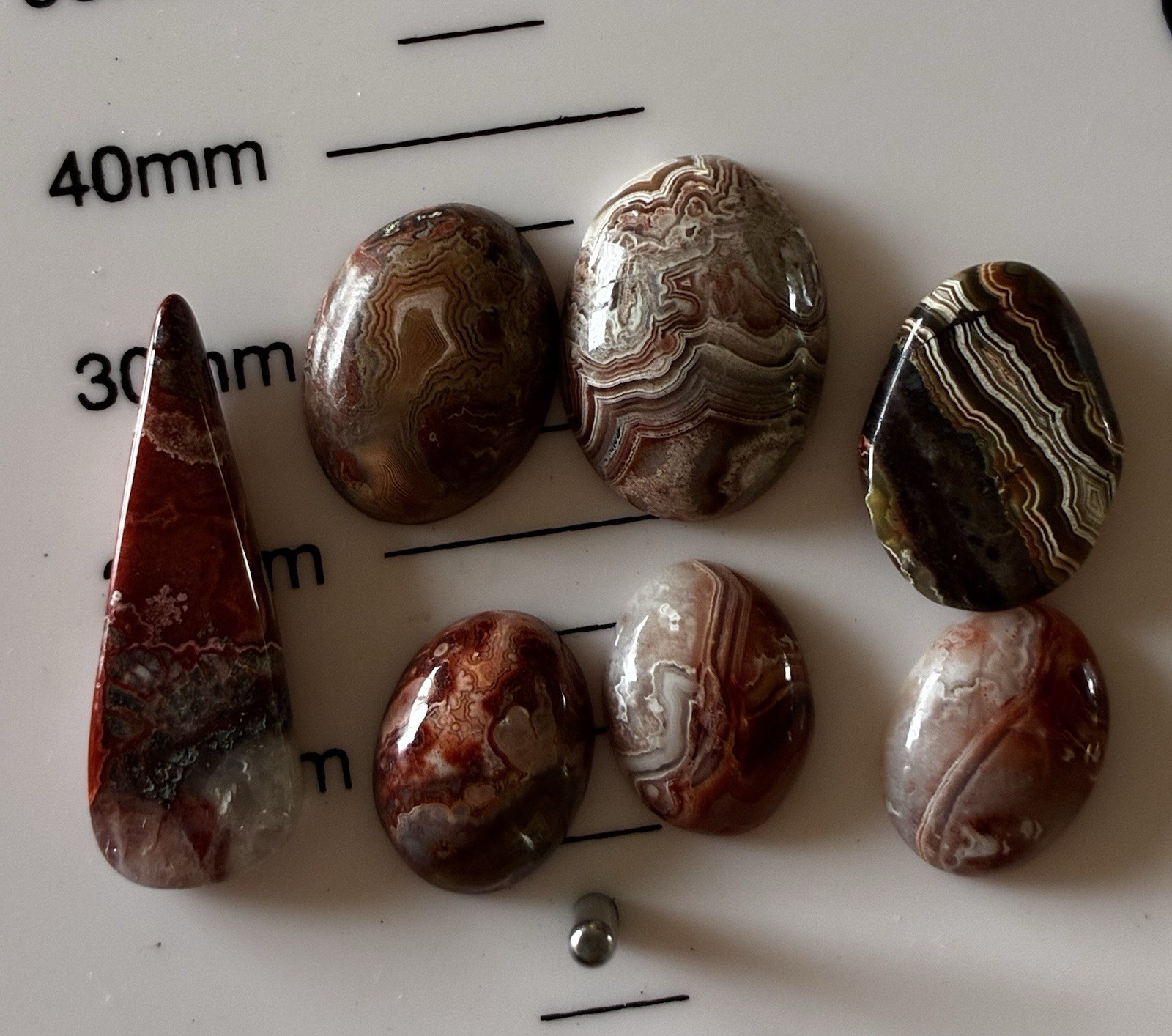 Crazy Lace Collection Of Mini Cabs