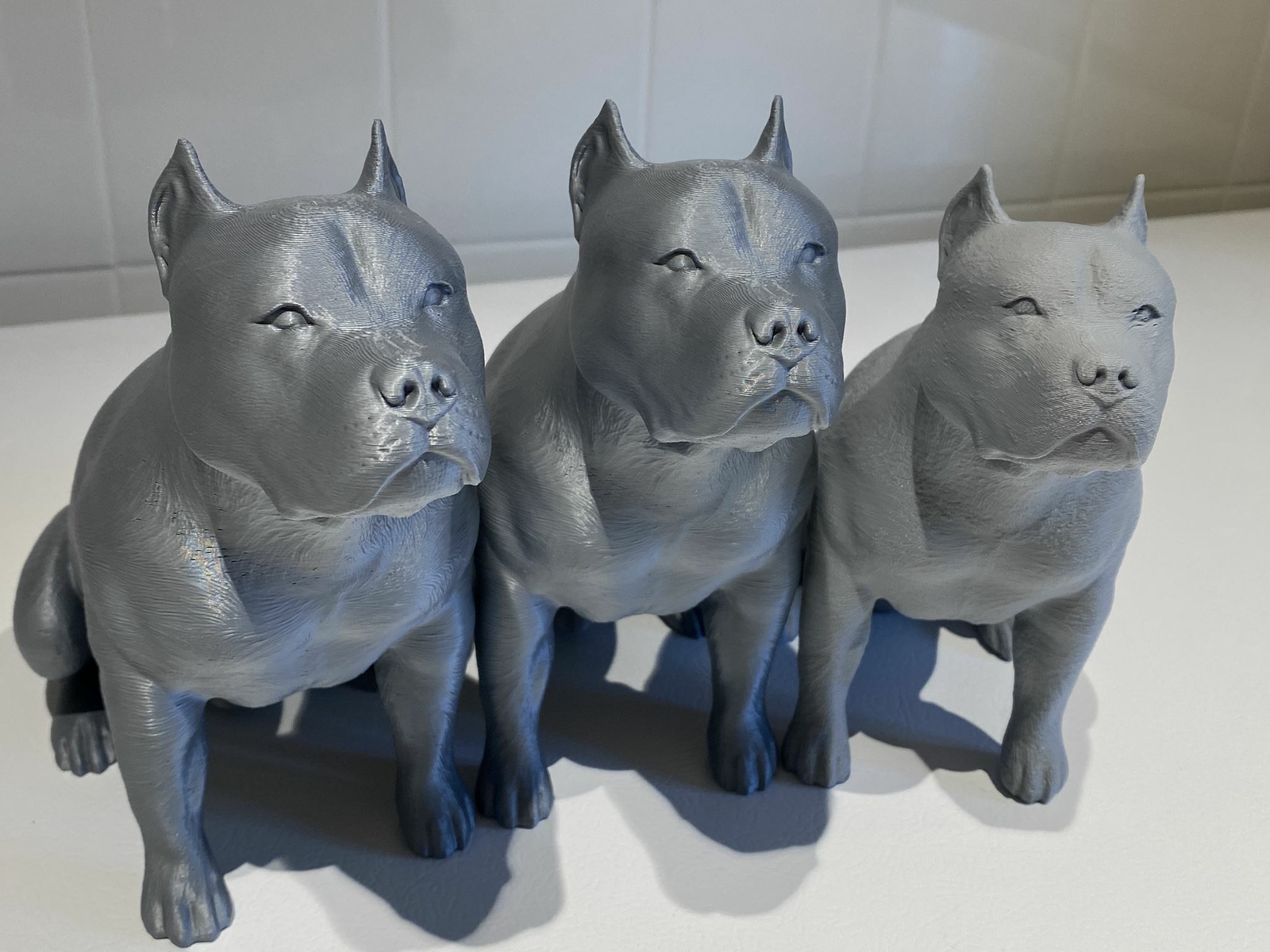 Buff Pitbull Cropped Ears Pitbull Gifts Pitbull Mom Pitbull Statue Pittie Mom Buff Pitbull Cropped Ears Pitbull Gifts Pitbull Mom Pitbull Statue Pittie Mom