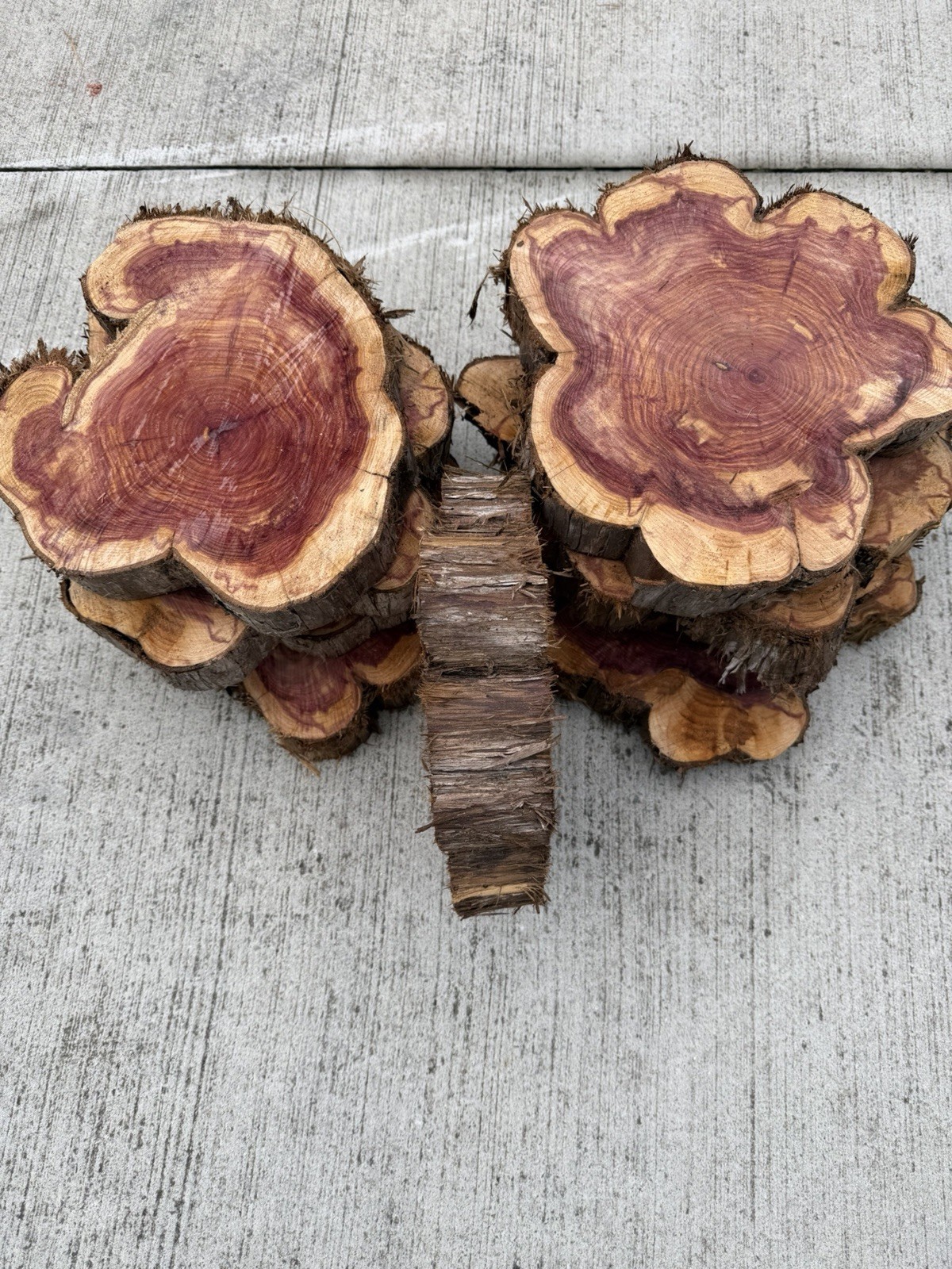 Eastern Red cedar Rounds. Large 10-14” Rustic Rough Sawn Wood Slices 2” Thick