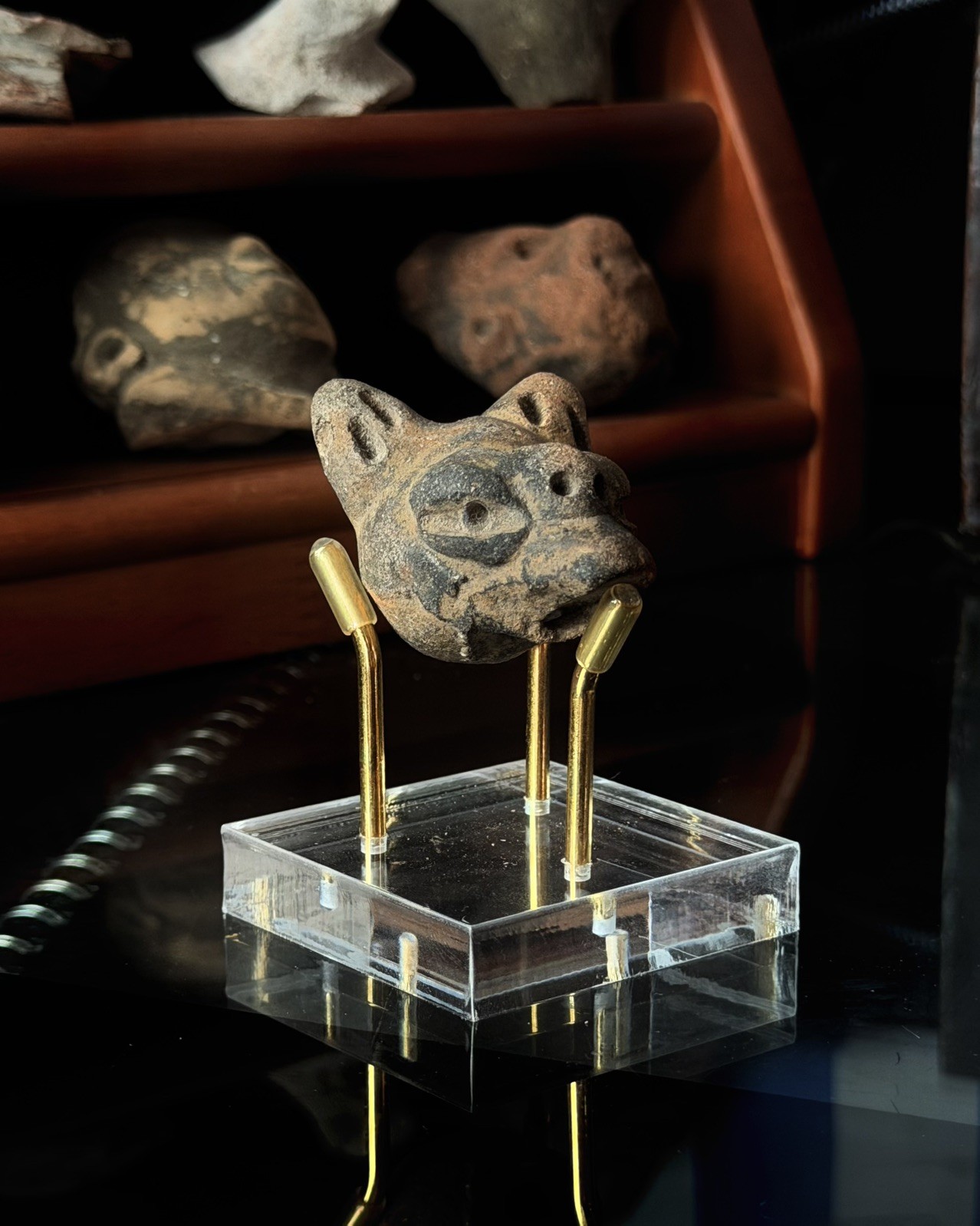 Pre-Colombian Jaguar Head Artifact Terracotta Pottery Fragment