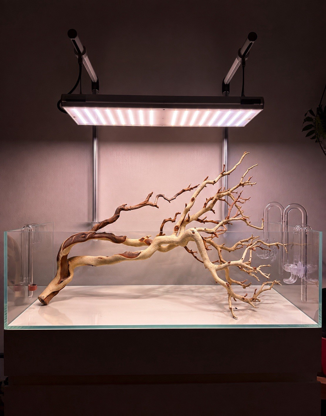 Large 28” Manzanita Driftwood Branch, Aquarium Terrarium Aquascaping,Home Decor