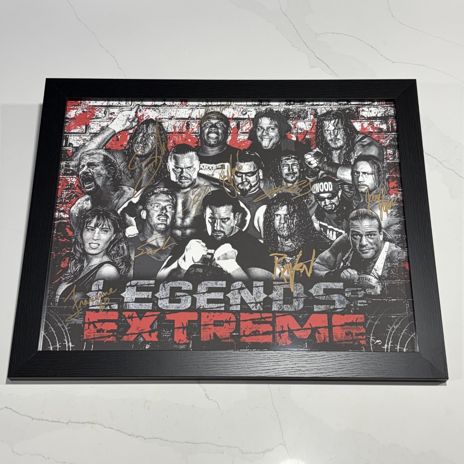 ECW Autographed Print 15 x 19 Wrestling Legends Extreme Signed Framed WWE WWF