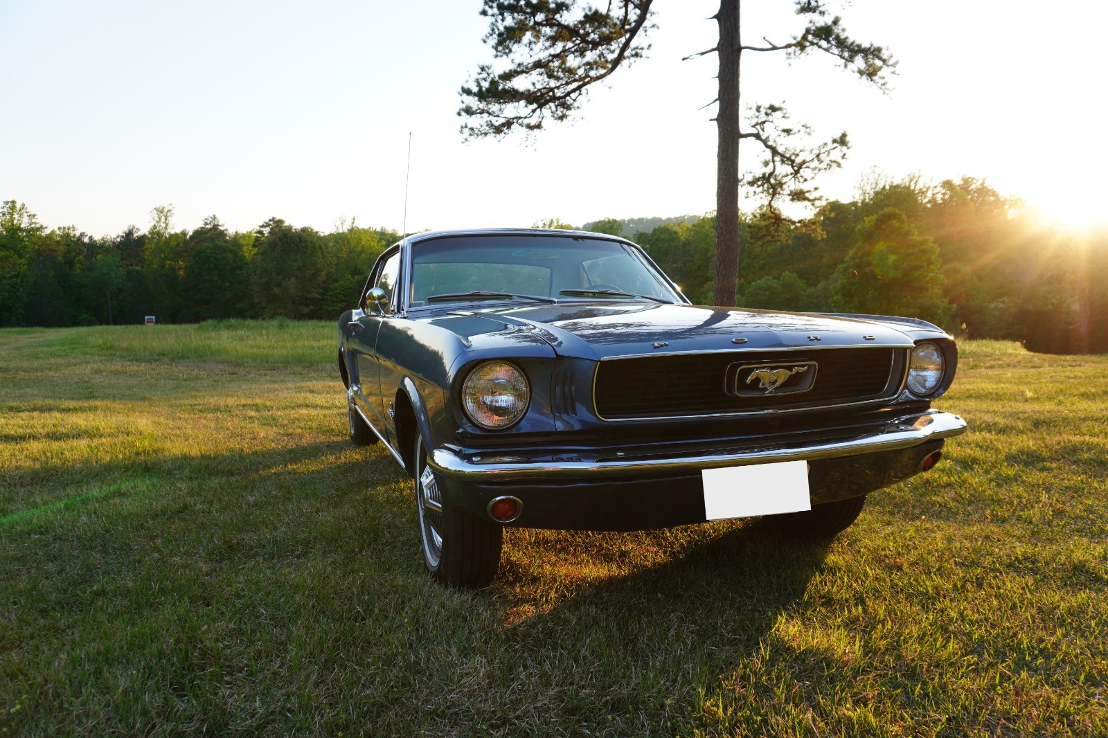 1966 Ford Mustang